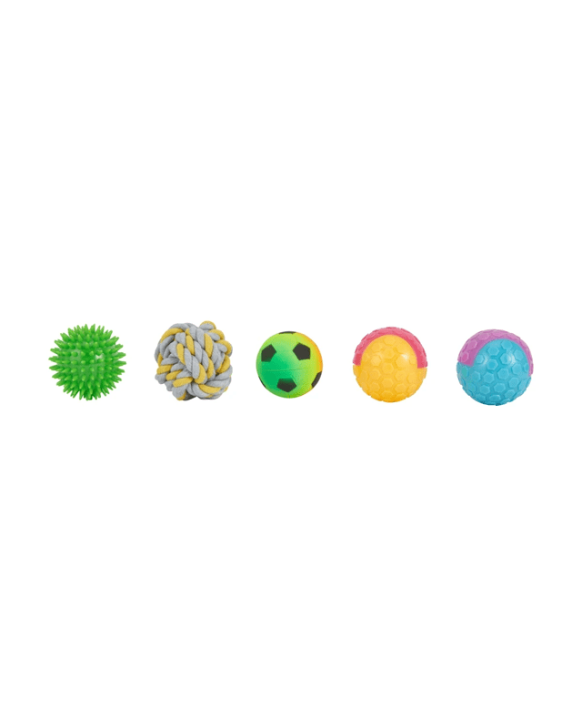 5 Pack Pet Toy Mixed B
