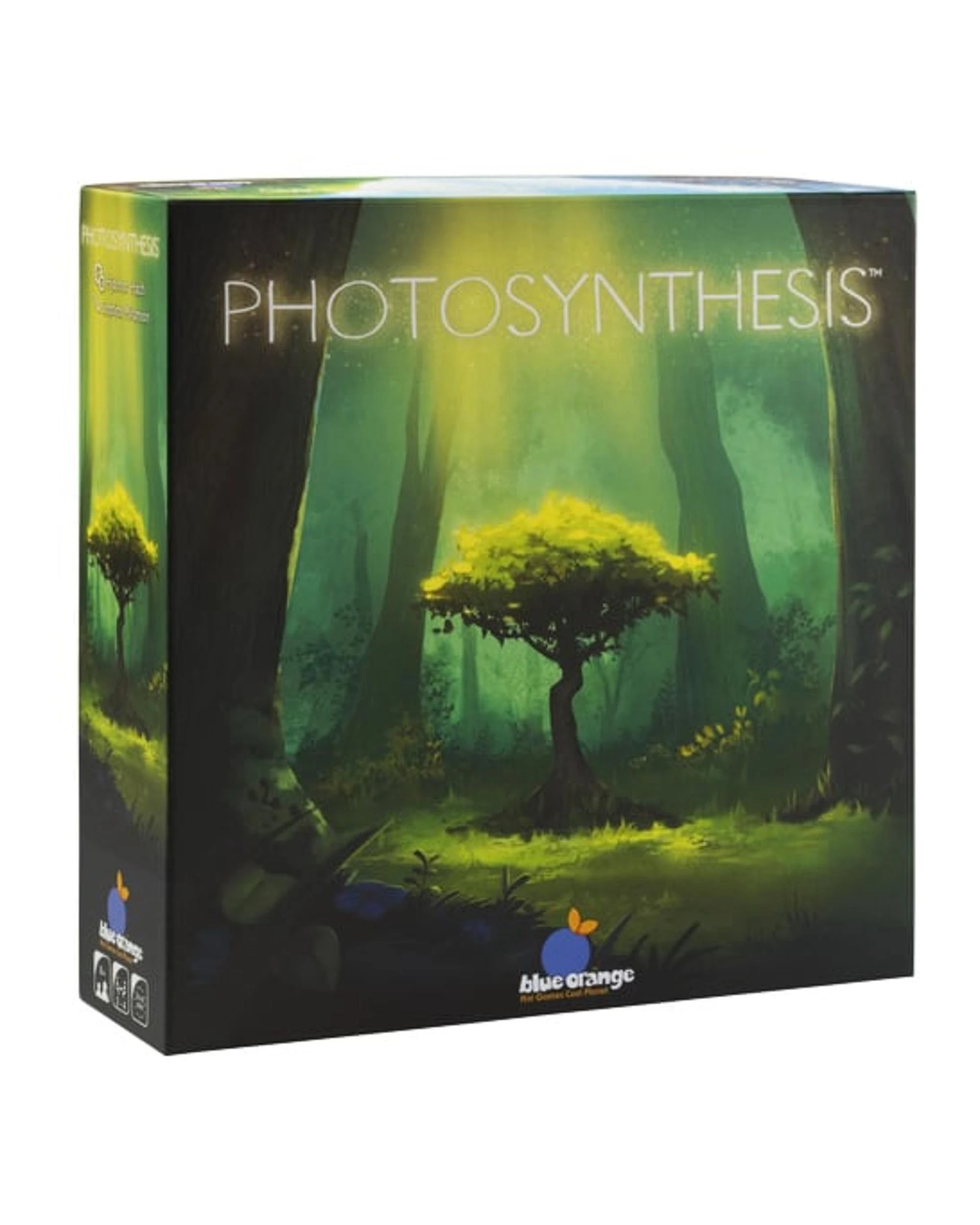 1 Photosynthesis Board Game, 1 of 3