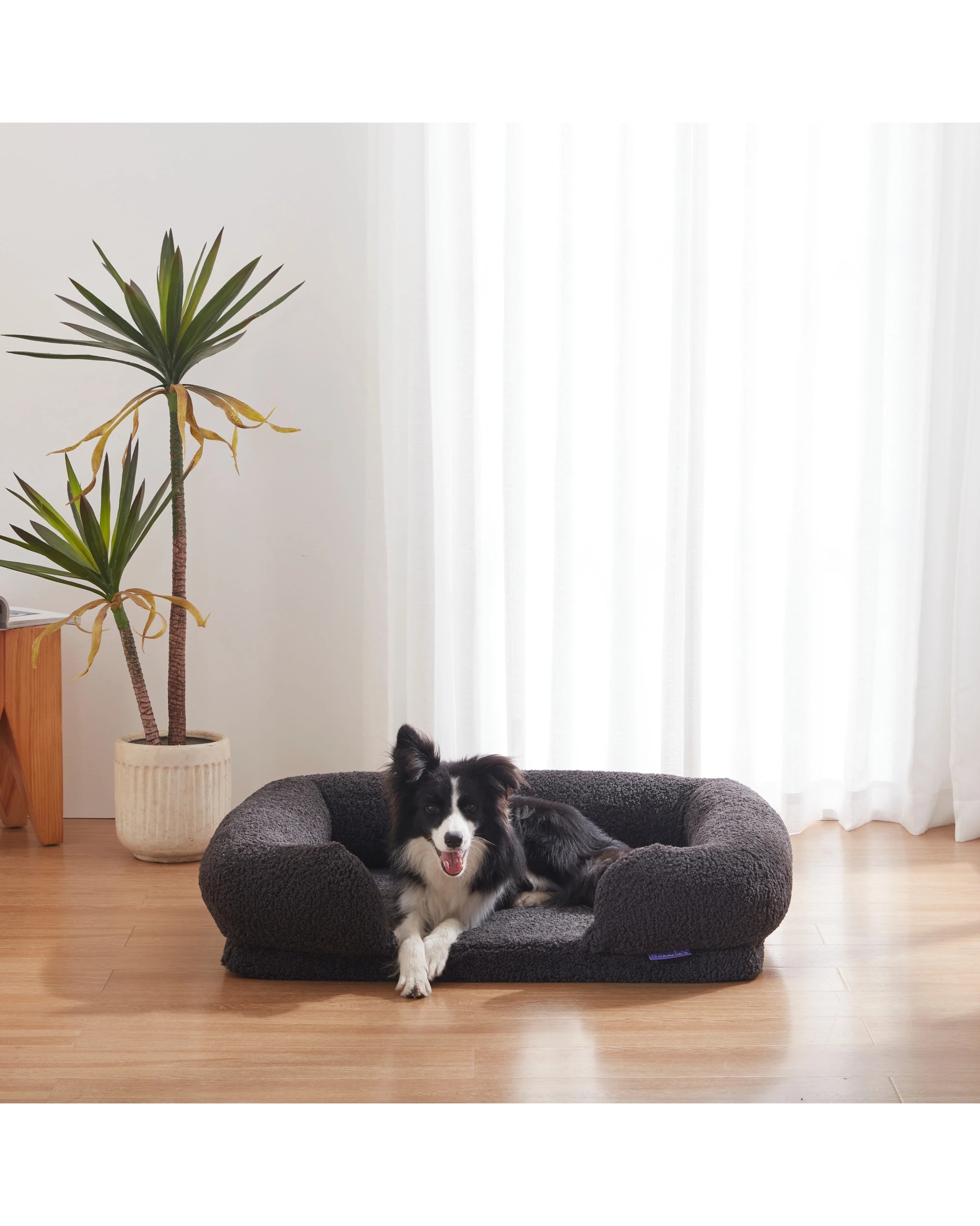 1 Charlie's Teddy Fleece Orthopedic Memory Foam Sofa Dog Bed with Bolster Large - Charcoal, 1 of 9
