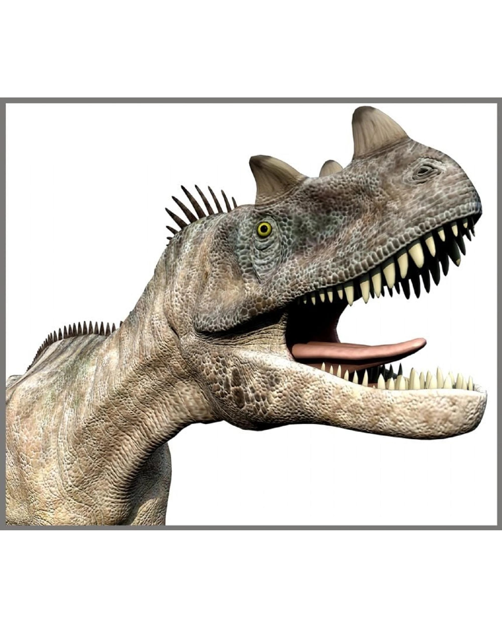 6 Brainstorm Dinosaur Torch and Projector, 6 of 8