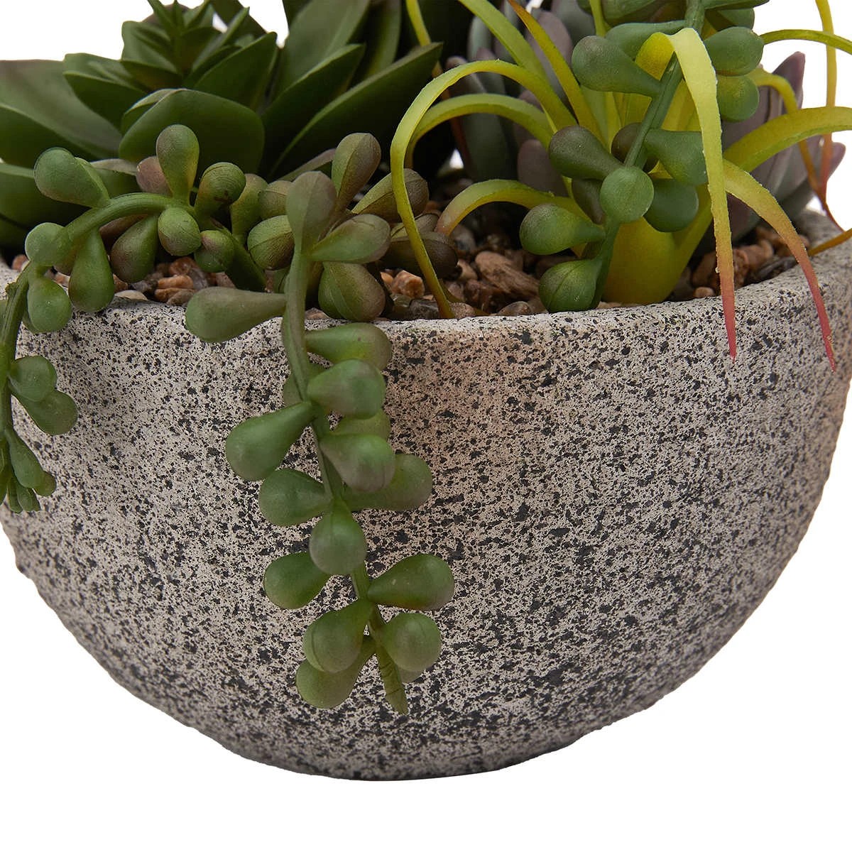 4 Artificial Succulents in Pot, 4 of 6