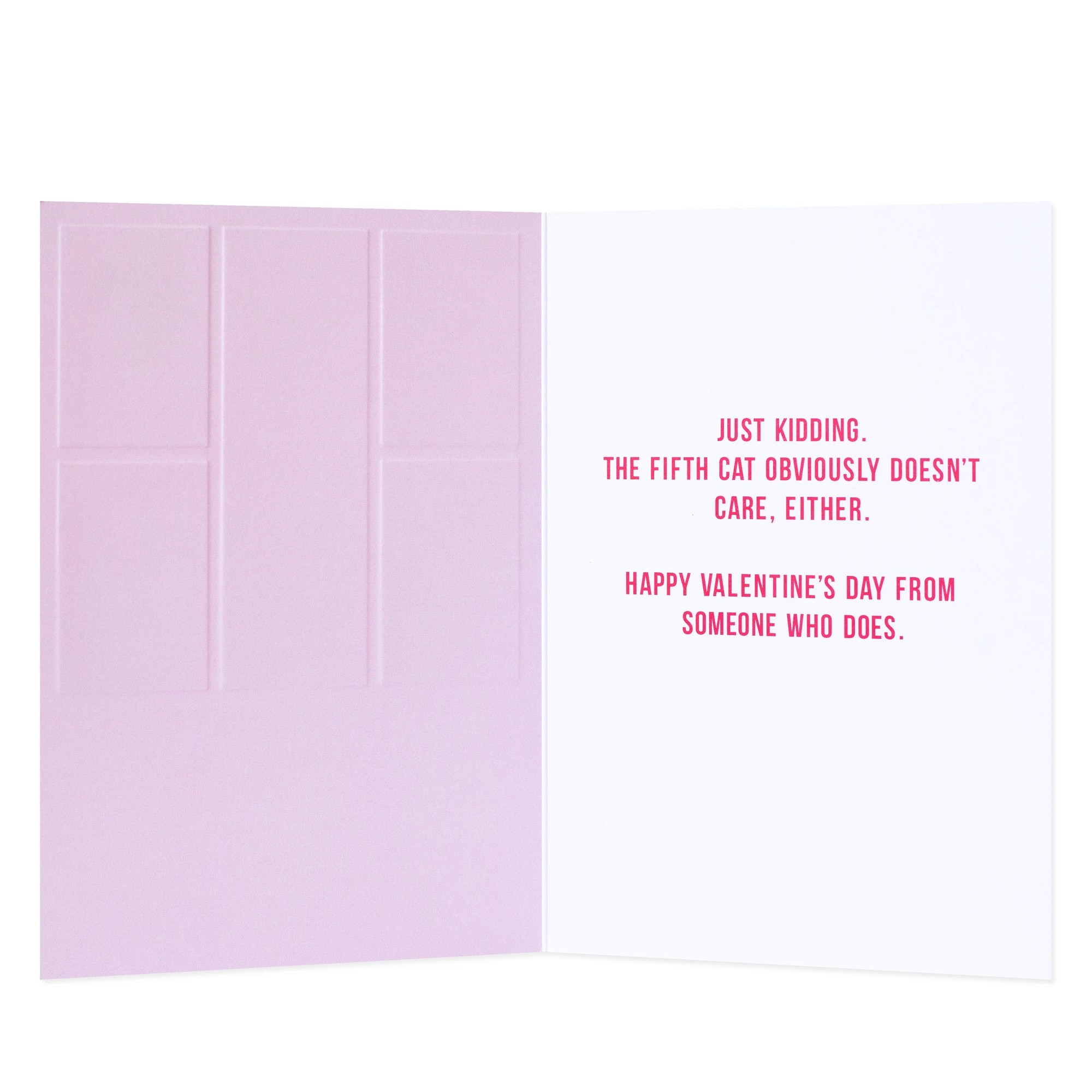 2 Hallmark Shoebox Valentine's Day Card - 4 out of 5 Cats Don't Care It's Valentine's Day, 2 of 3