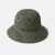 OLIVE LEAF