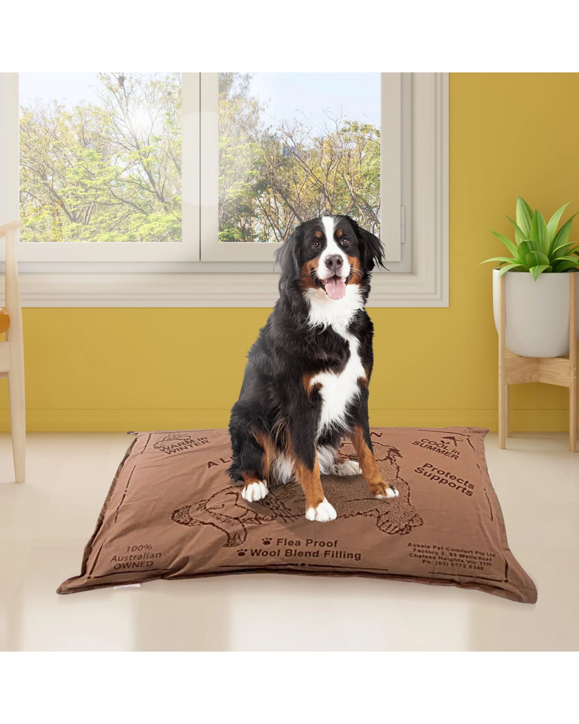 3 Aussie Made Comfy Pet Bed Futon Dog 102cm Wool Blend Large - Brown, 3 of 3