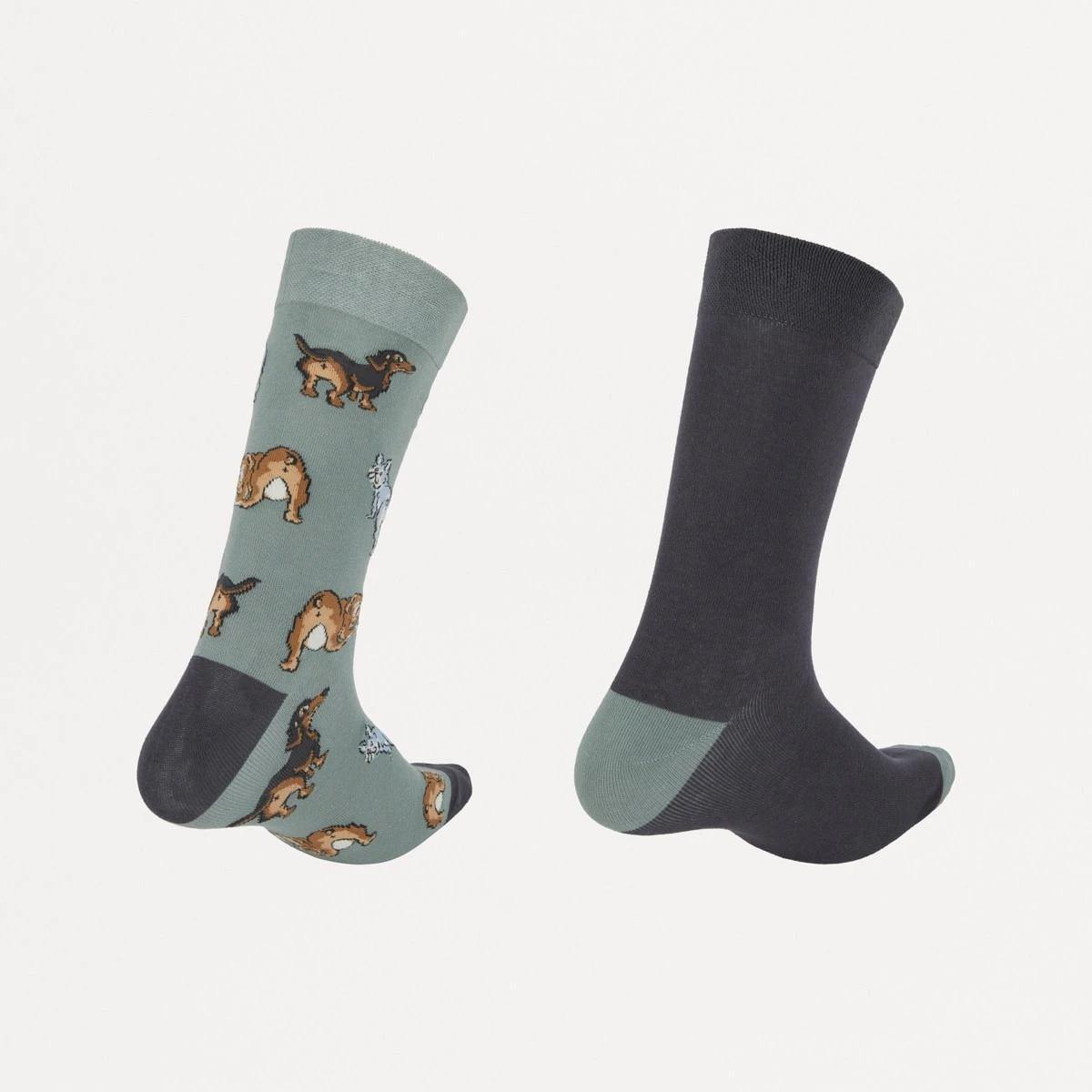 2 2 Pack Novelty Pattern Socks HEY PUPS SOCKS, 2 of 3