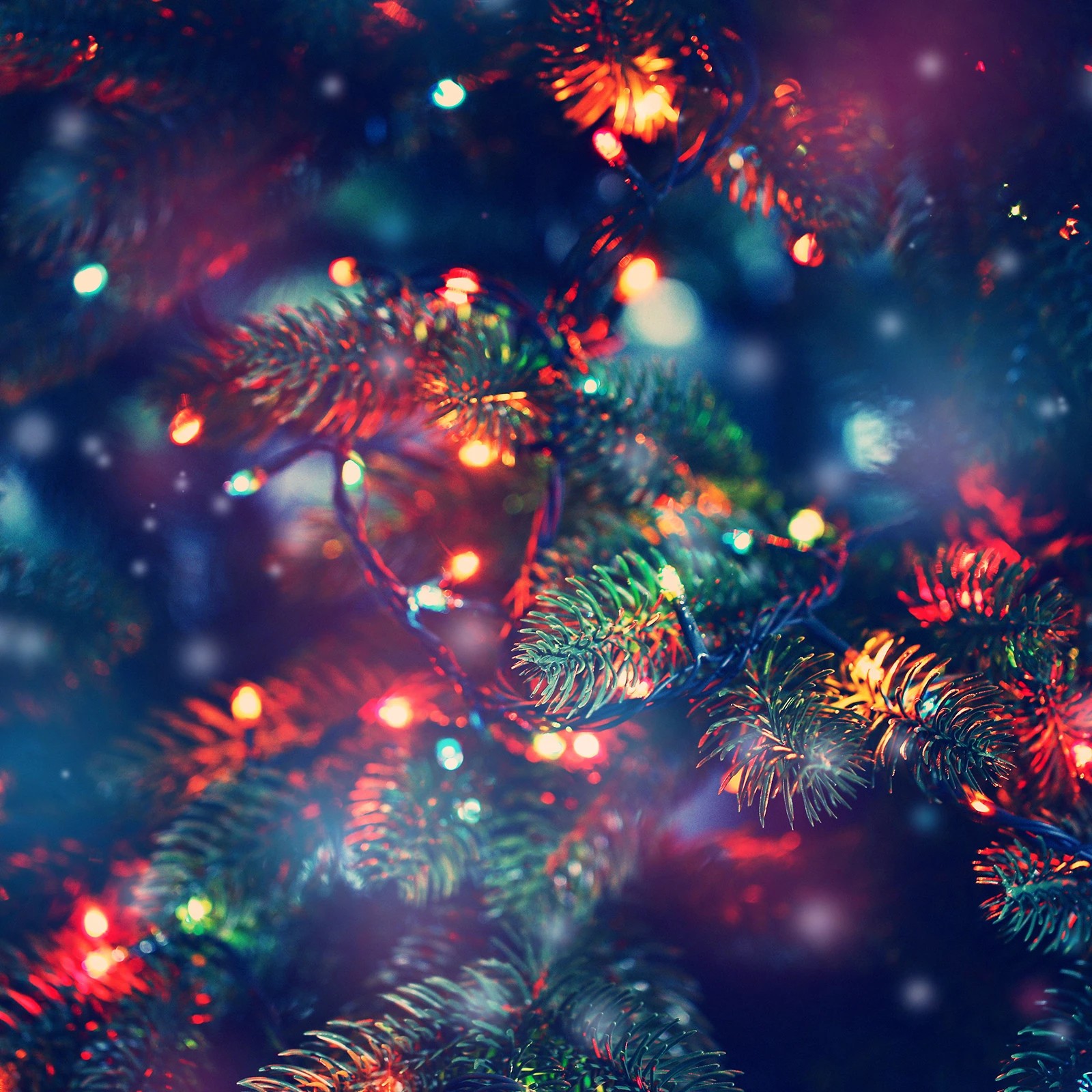 6 Milano D�cor Outdoor LED Plug In Fairy Lights || 200 Lights - Multi - Multi, 6 of 9