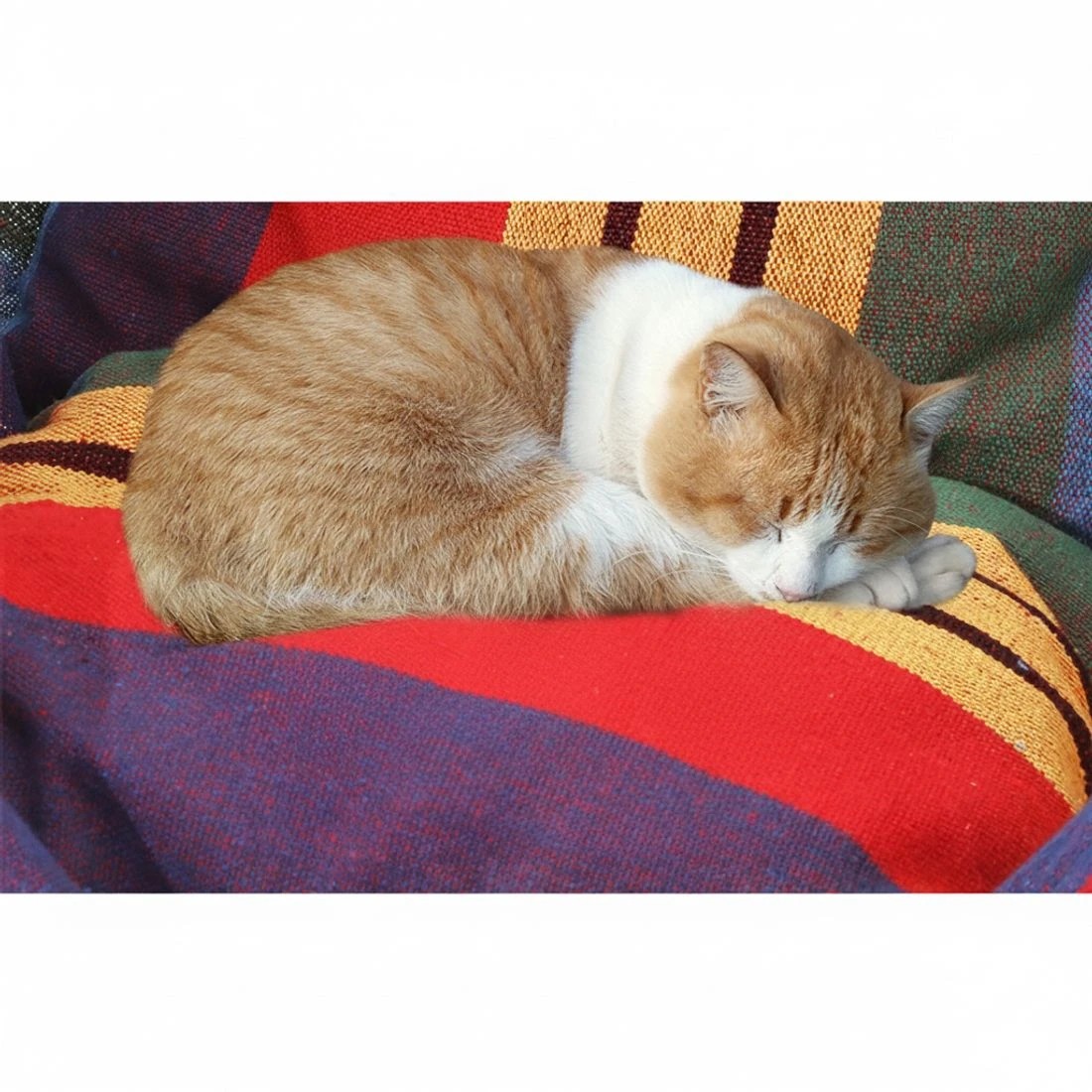 4 Gardeon Hammock Chair Outdoor Camping Hanging Hammocks Cushion Pillow Rainbow - Multi, 4 of 7