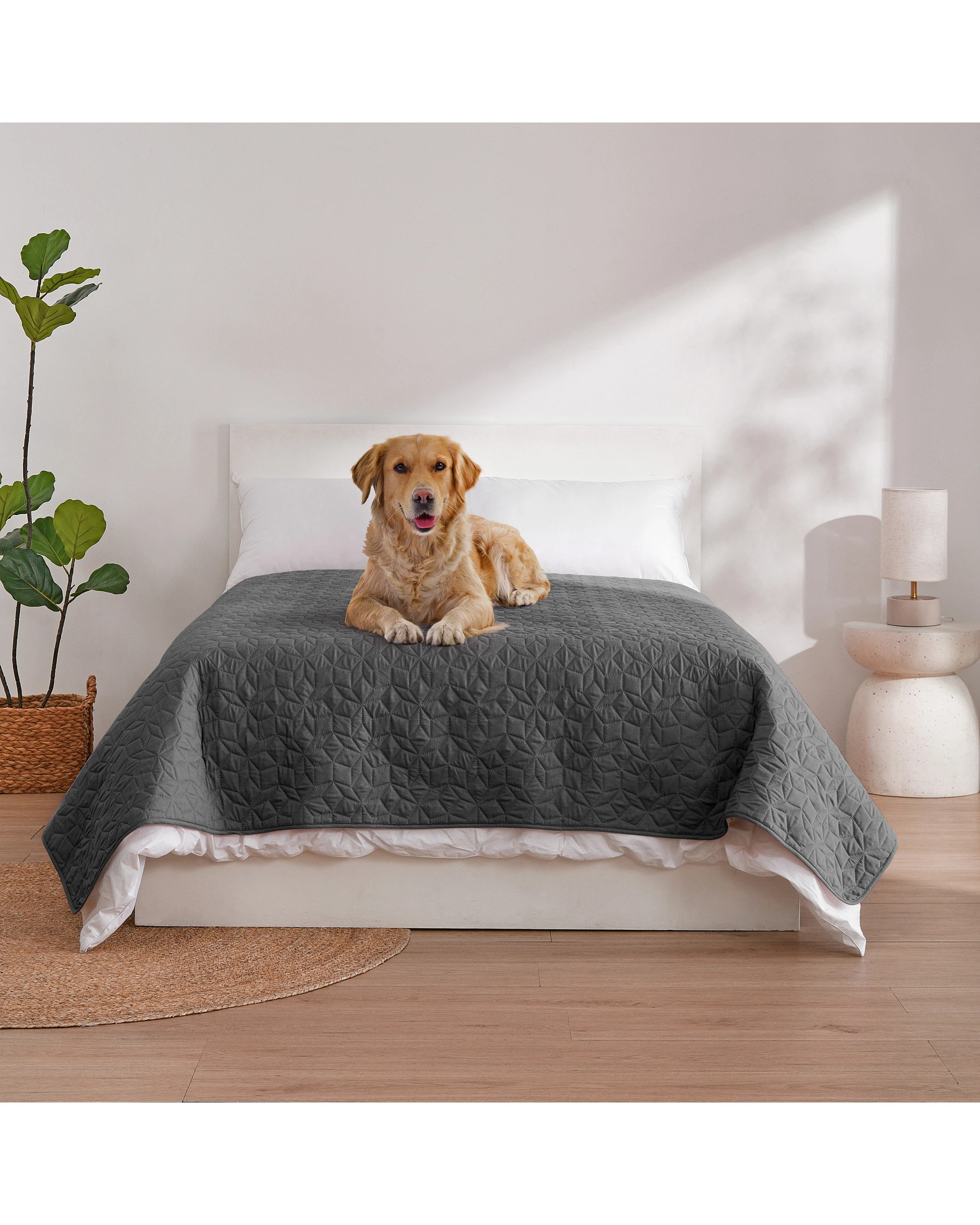1 Charlie's Sofur Waterproof Dog Bed Cover Protector Double/Queen 208x208cm - Double/Queen - Charcoal, 1 of 10