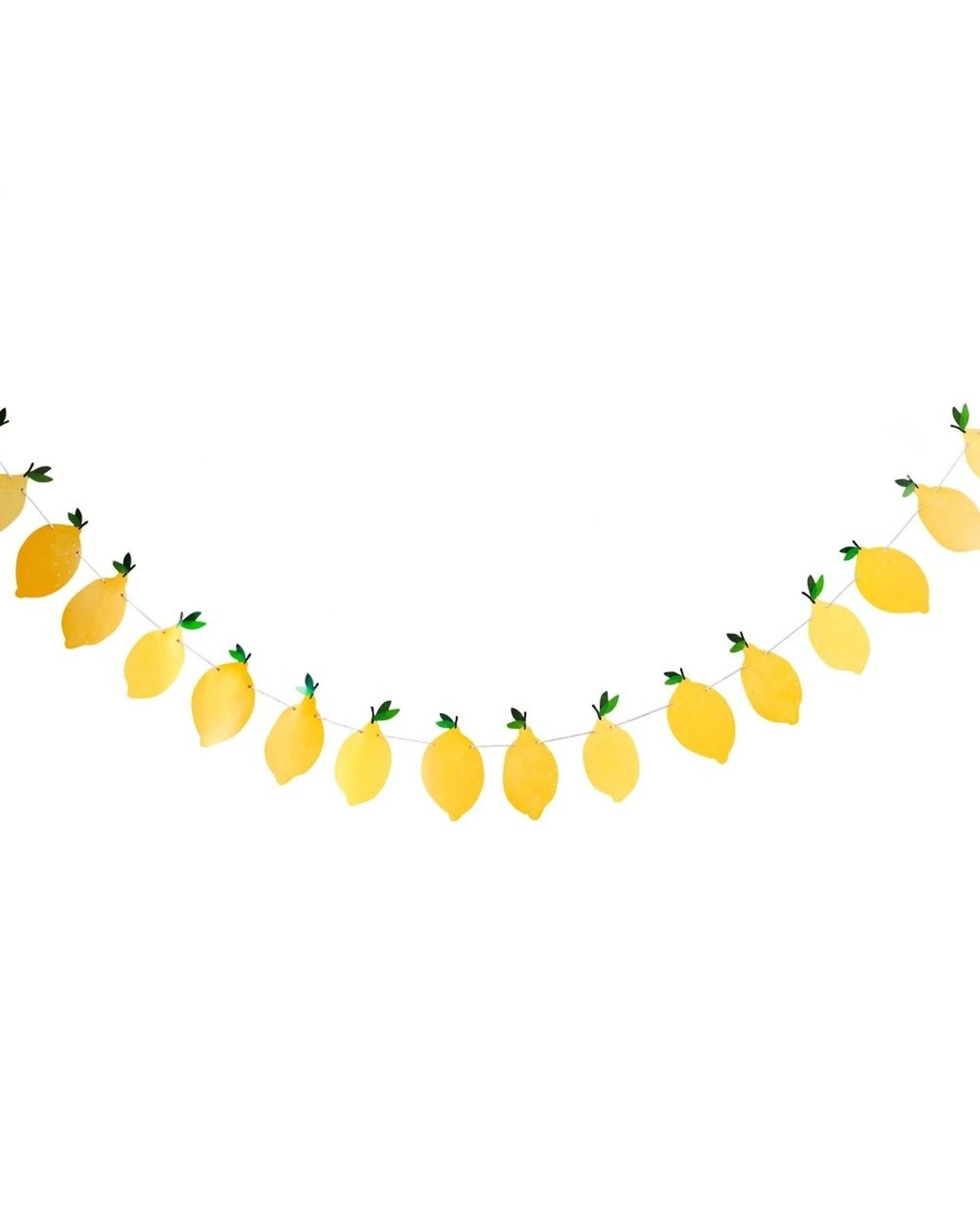 1 Anagram Summer Picnic Party Lemon Card Garland Decoration For Summer Events & Parties - Yellow, 1 of 1