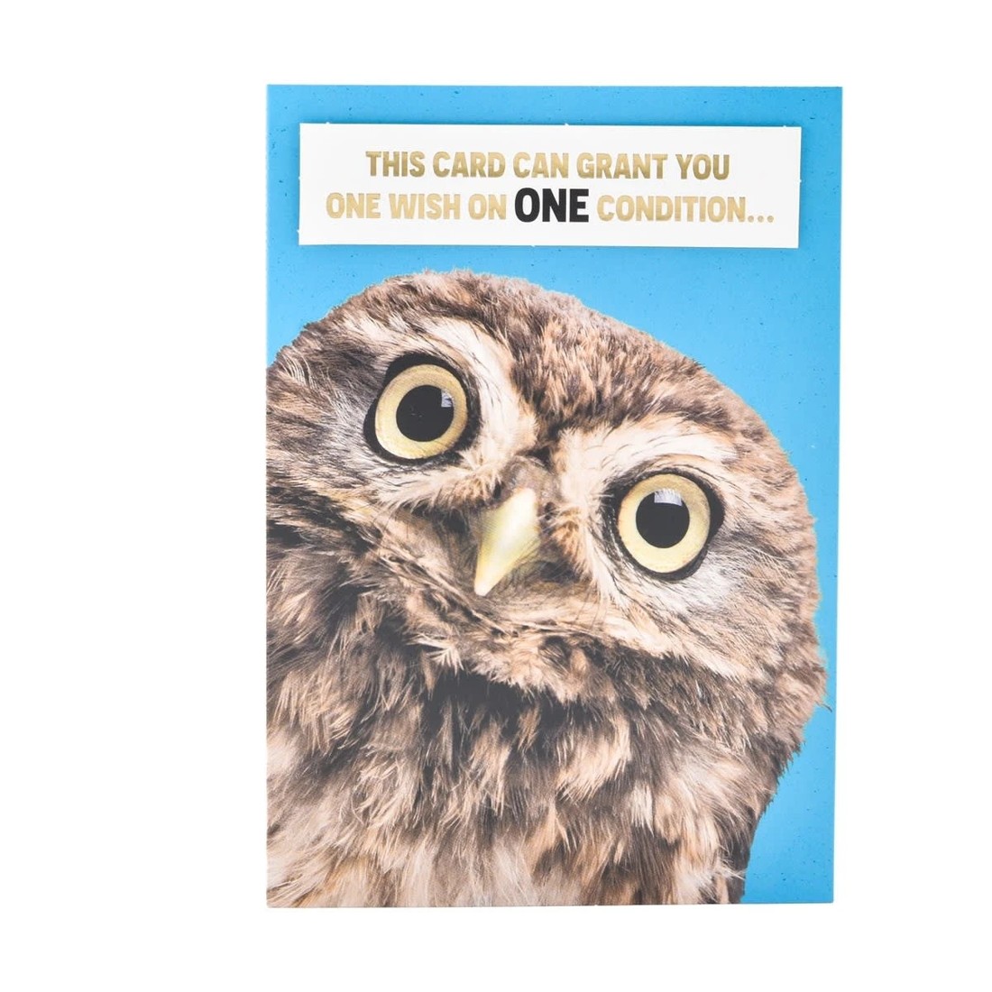 3 Hallmark Birthday Card - Cheeky Owl, 3 of 3