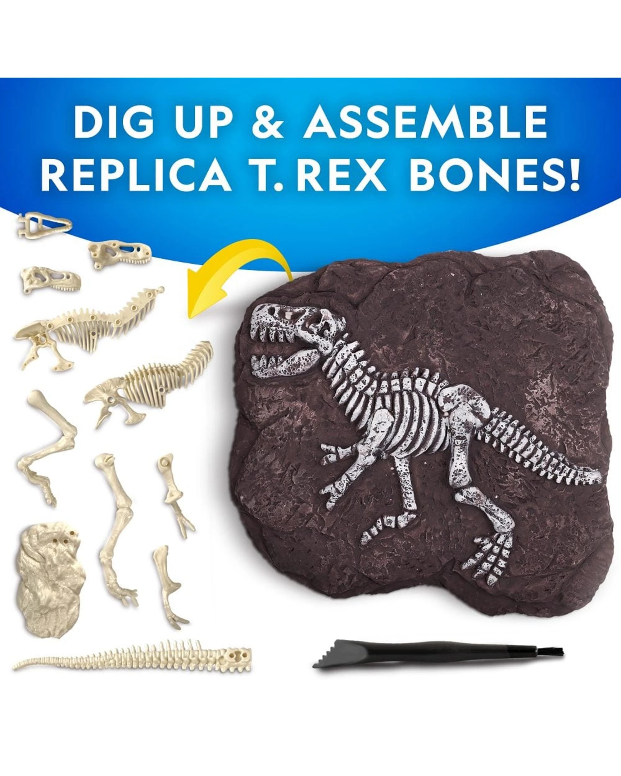 2 National Geographic Tyrannosaurus Rex Dig Kit, 2 of 3