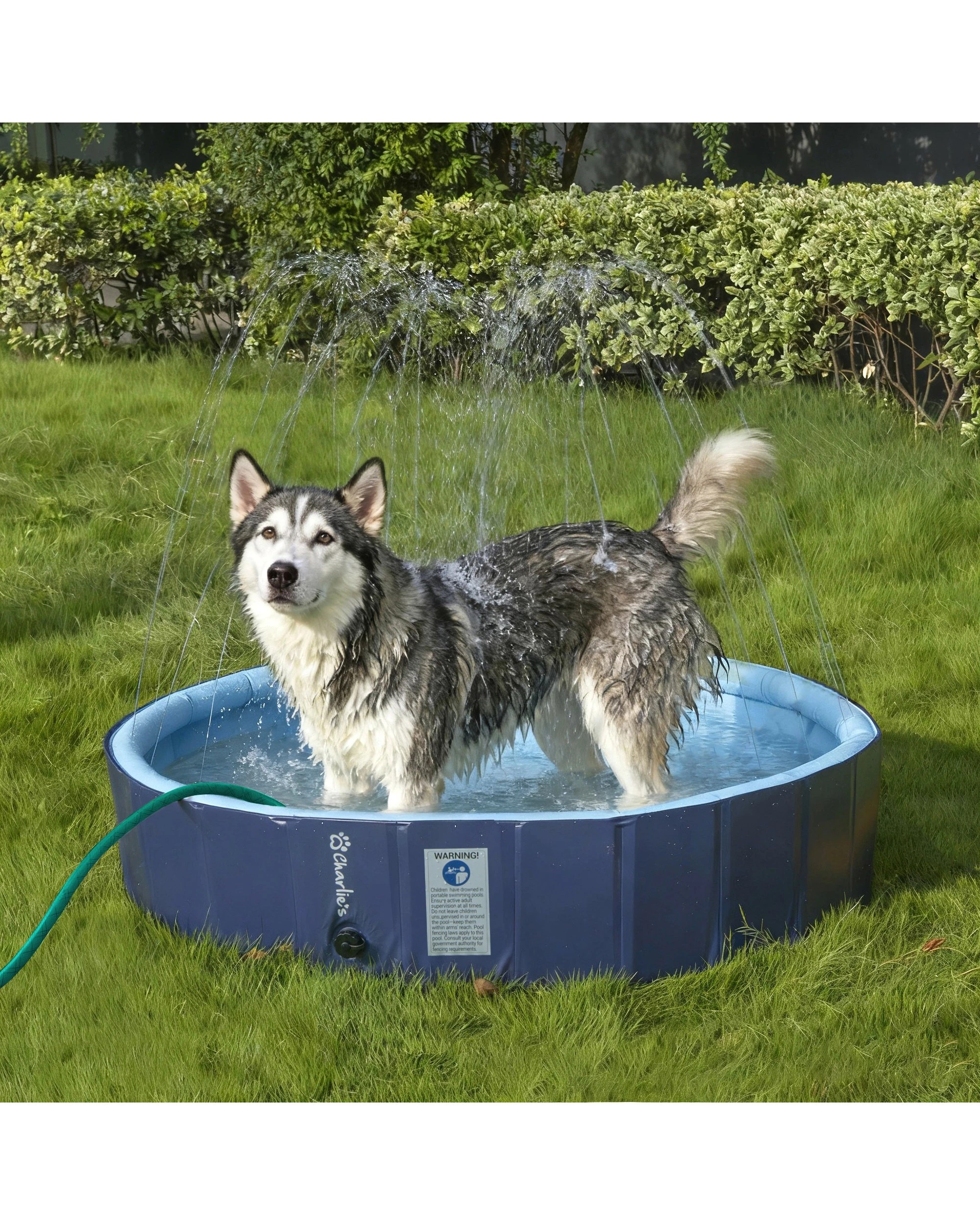 1 Charlie's Splash Society Sprinkler Dog Pool 120x30cm Large - Blue, 1 of 9