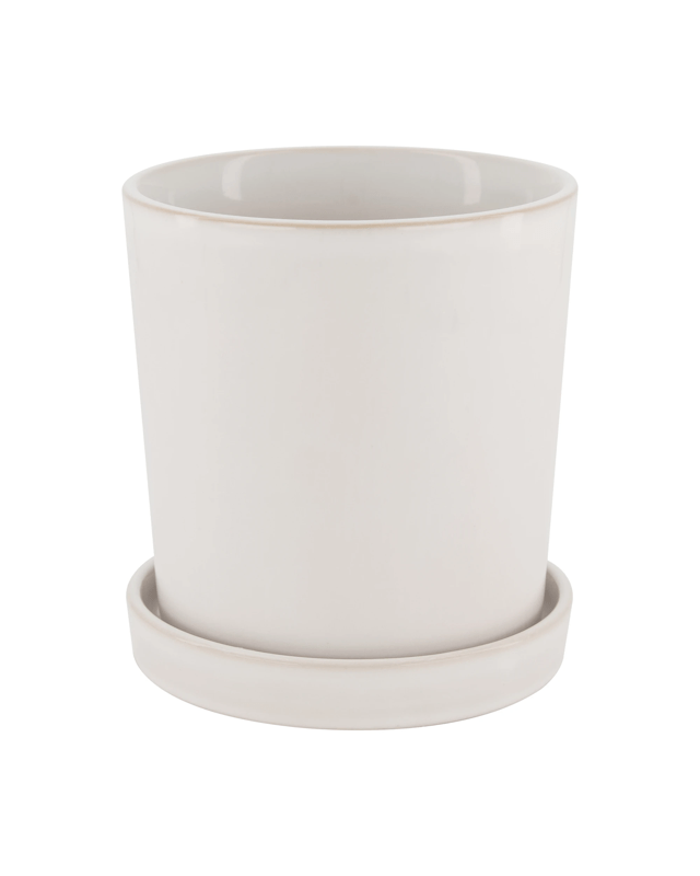 Pot with Saucer - W