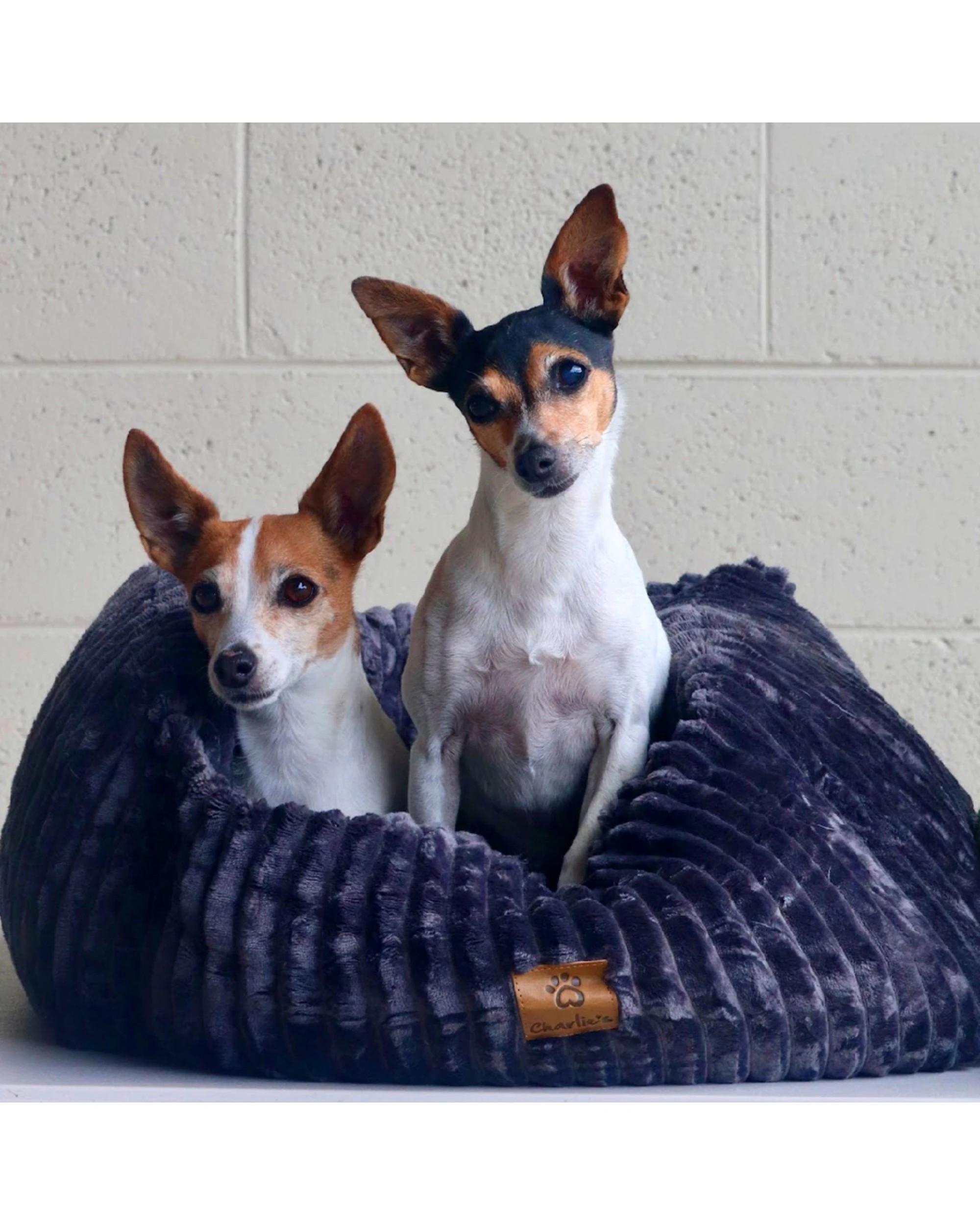 7 Charlie's Ascher Plush Corduroy Square Pet Nest Bed Medium - Grey, 7 of 7