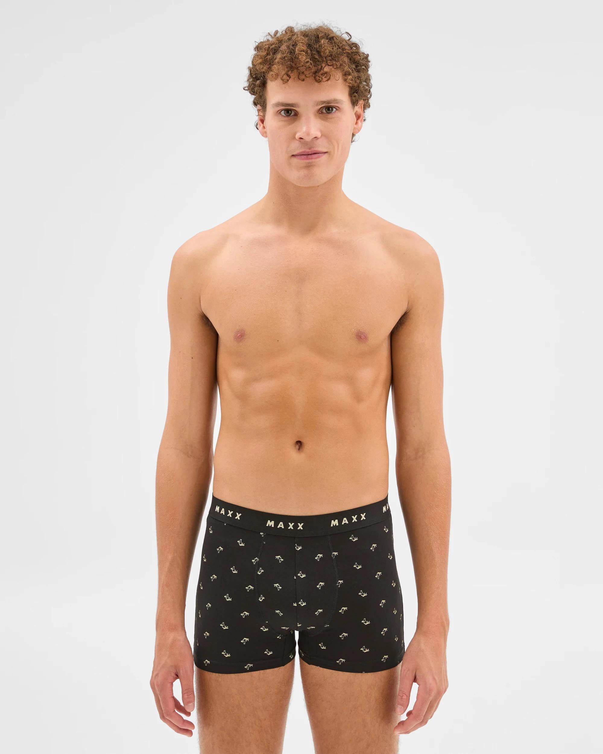 2 Cotton Blend Mens Hipster Trunk 7 Pack - Maxx MULTI PALMS, 2 of 5