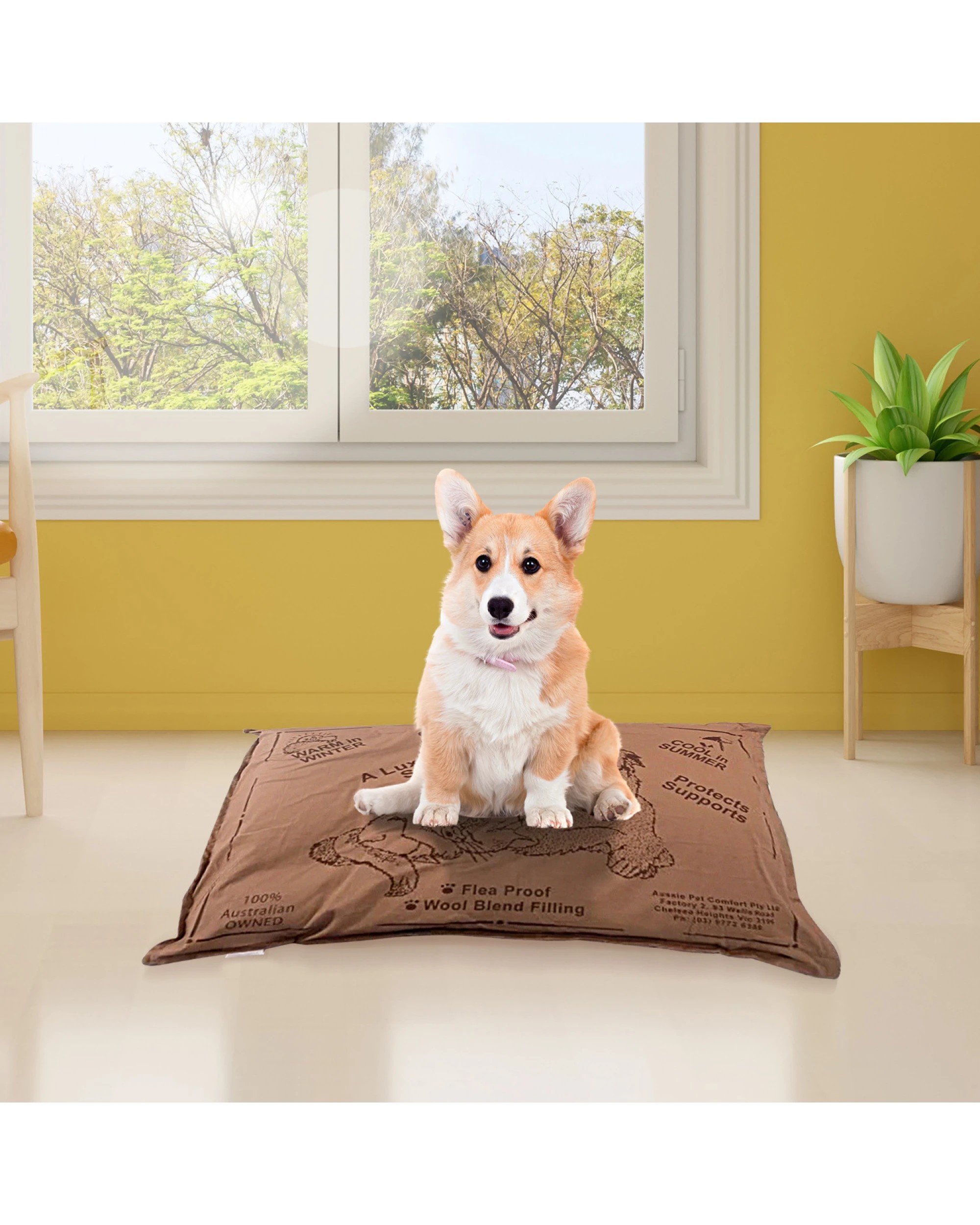 3 Aussie Made Comfy Pet Bed Futon Dog 74cm Wool Blend Small - Brown, 3 of 3
