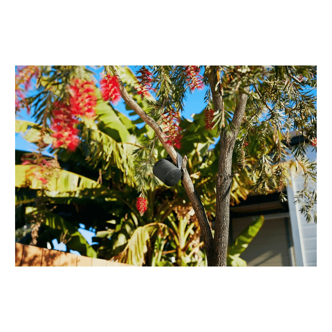 9 Sony XB100B Wireless Speaker Black, 9 of 10