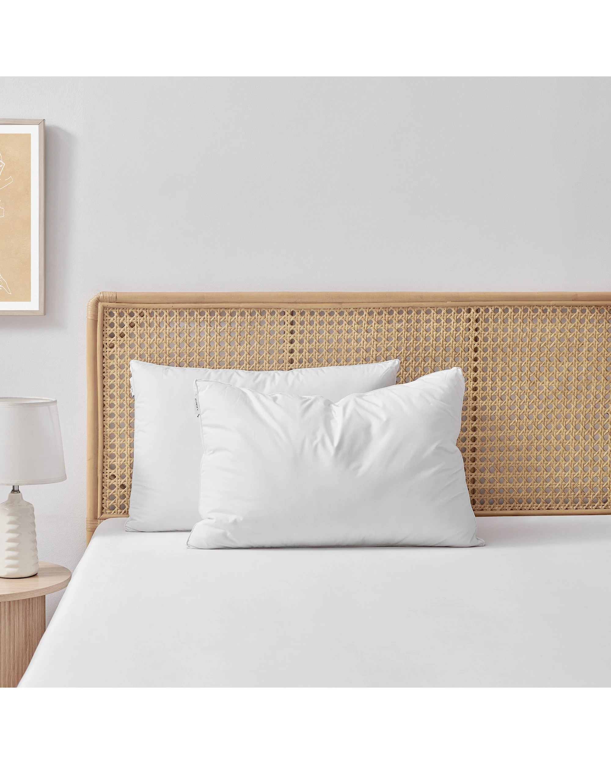 1 ESSN Healthguard Allergy Sensitive Pillow High Profile Twin Pack - White, 1 of 7