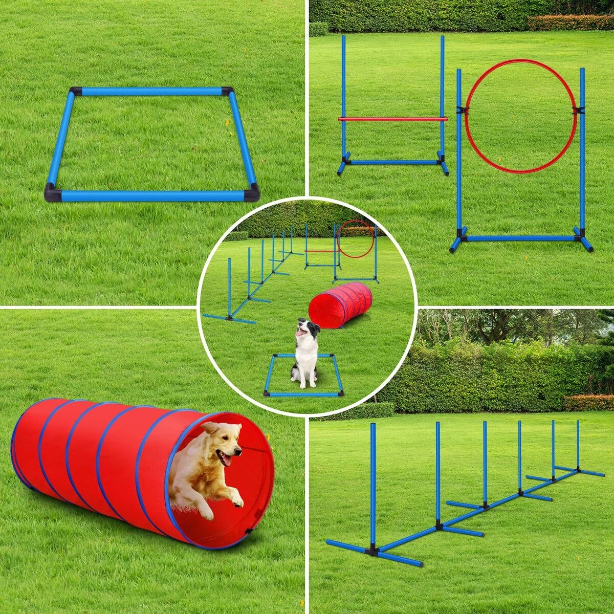 5 Petscene Dog Agility Equipment 5PC Set, 5 of 7