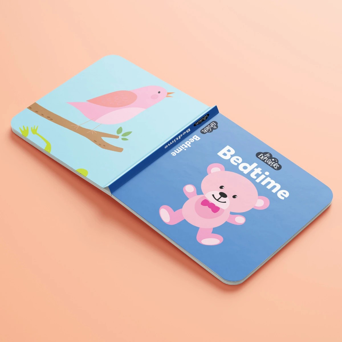 4 Jr. Explorers My First Words Learning Library Box Set - Book, 4 of 7