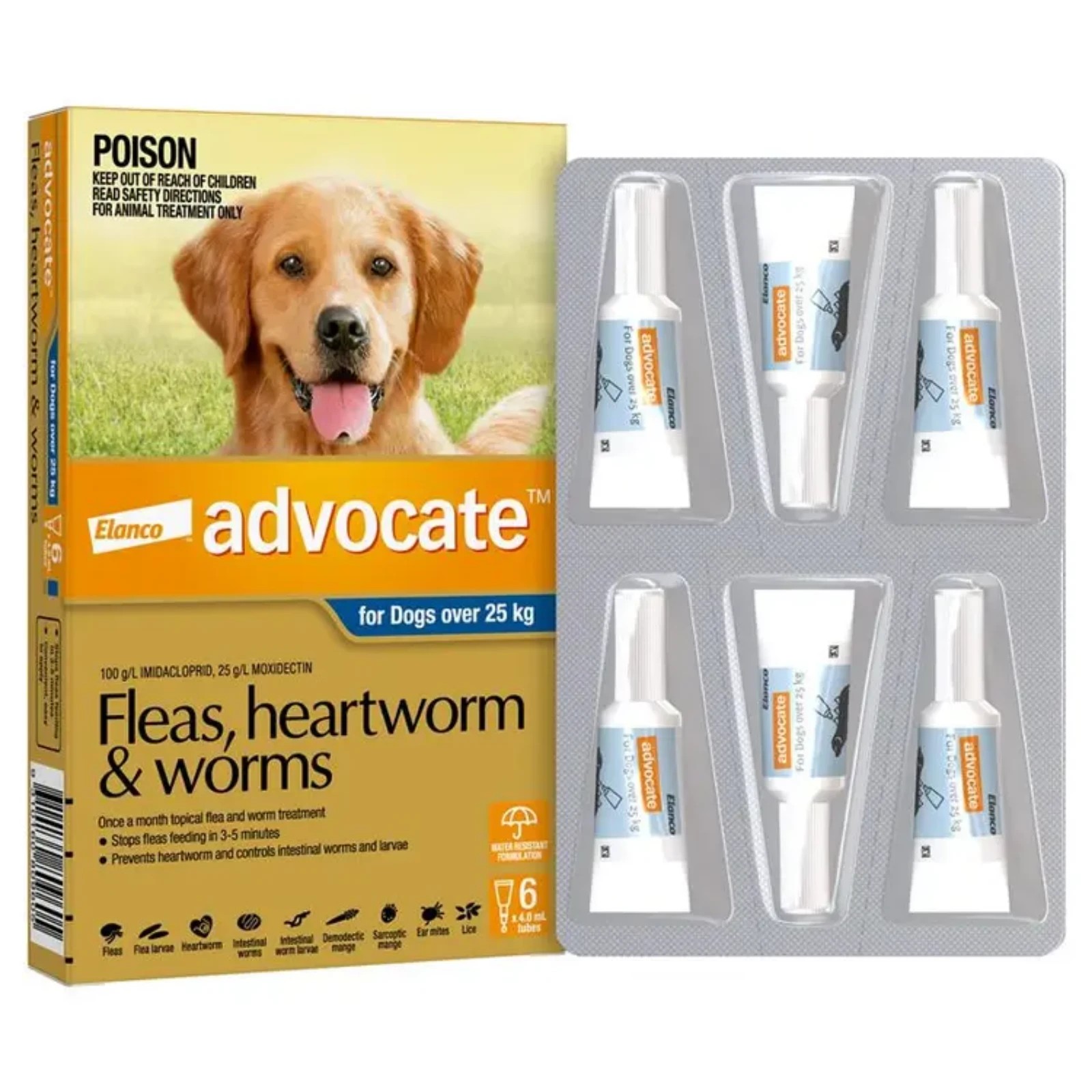 2 Advocate For Dogs Xlarge Over 25kg - 6 Pack, 2 of 2
