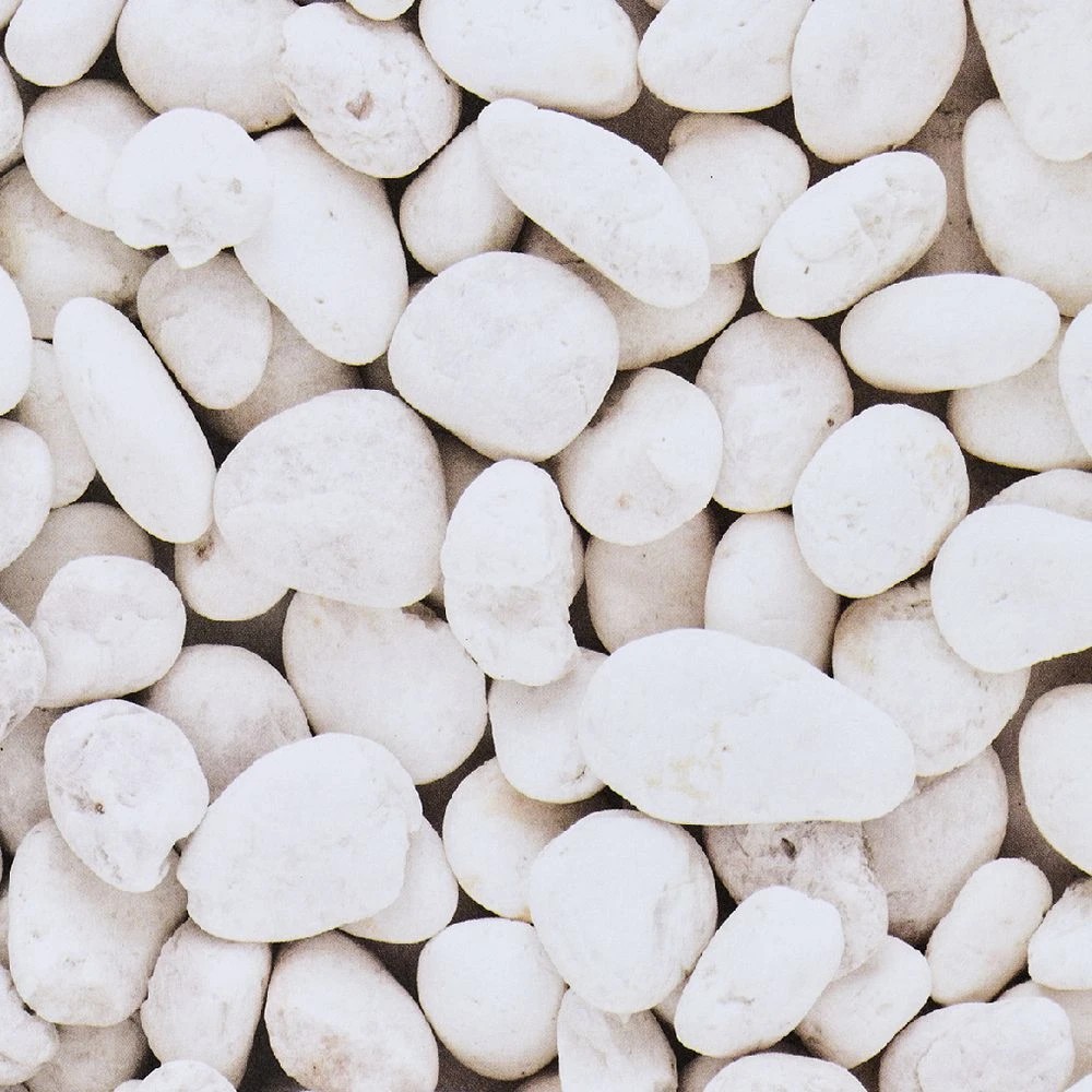 3 Born Paper Stack 15 x 15cm Botanical 30 Sheets, 3 of 4