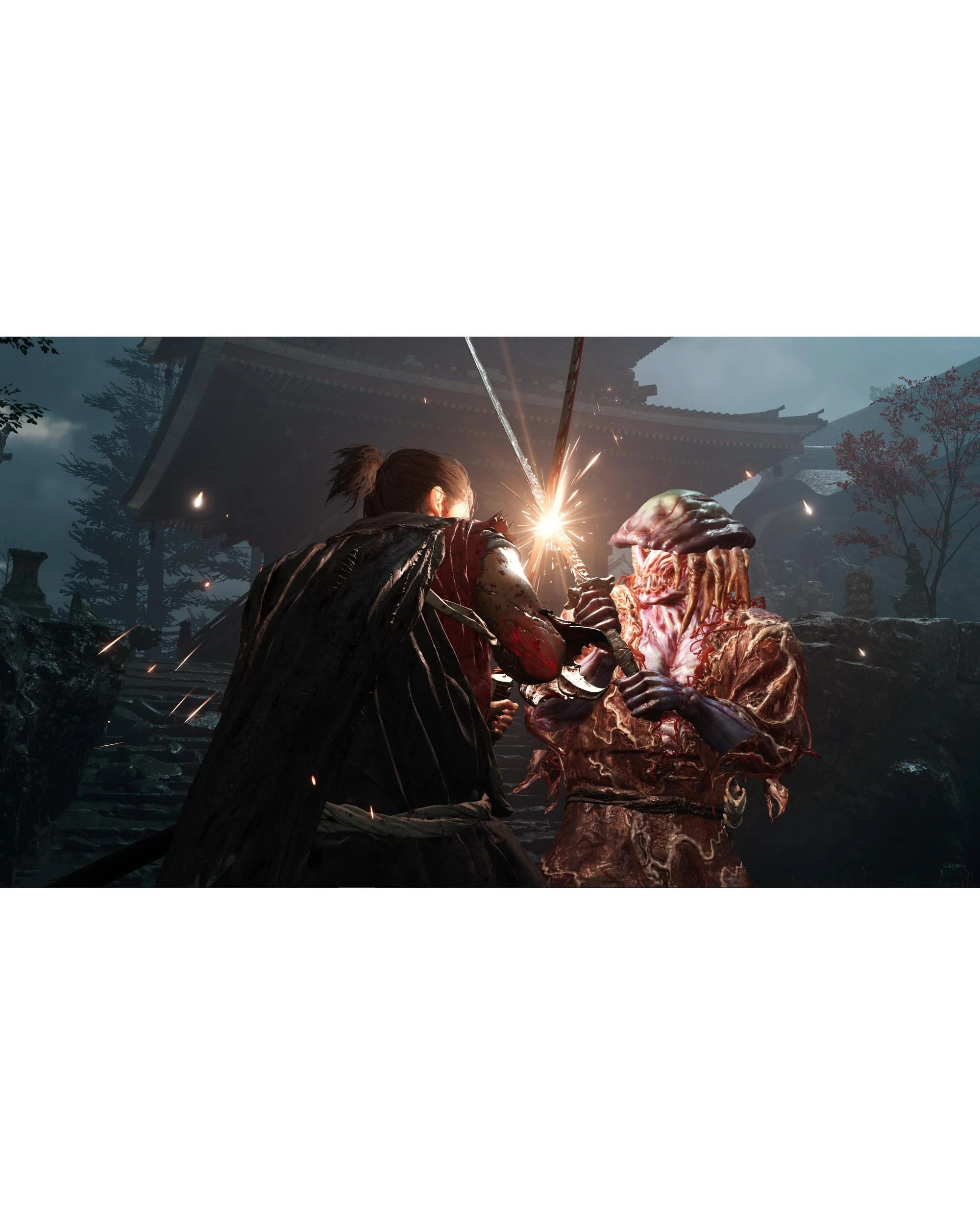 5 Onimusha: Way of the Sword - Switch 2, 5 of 10