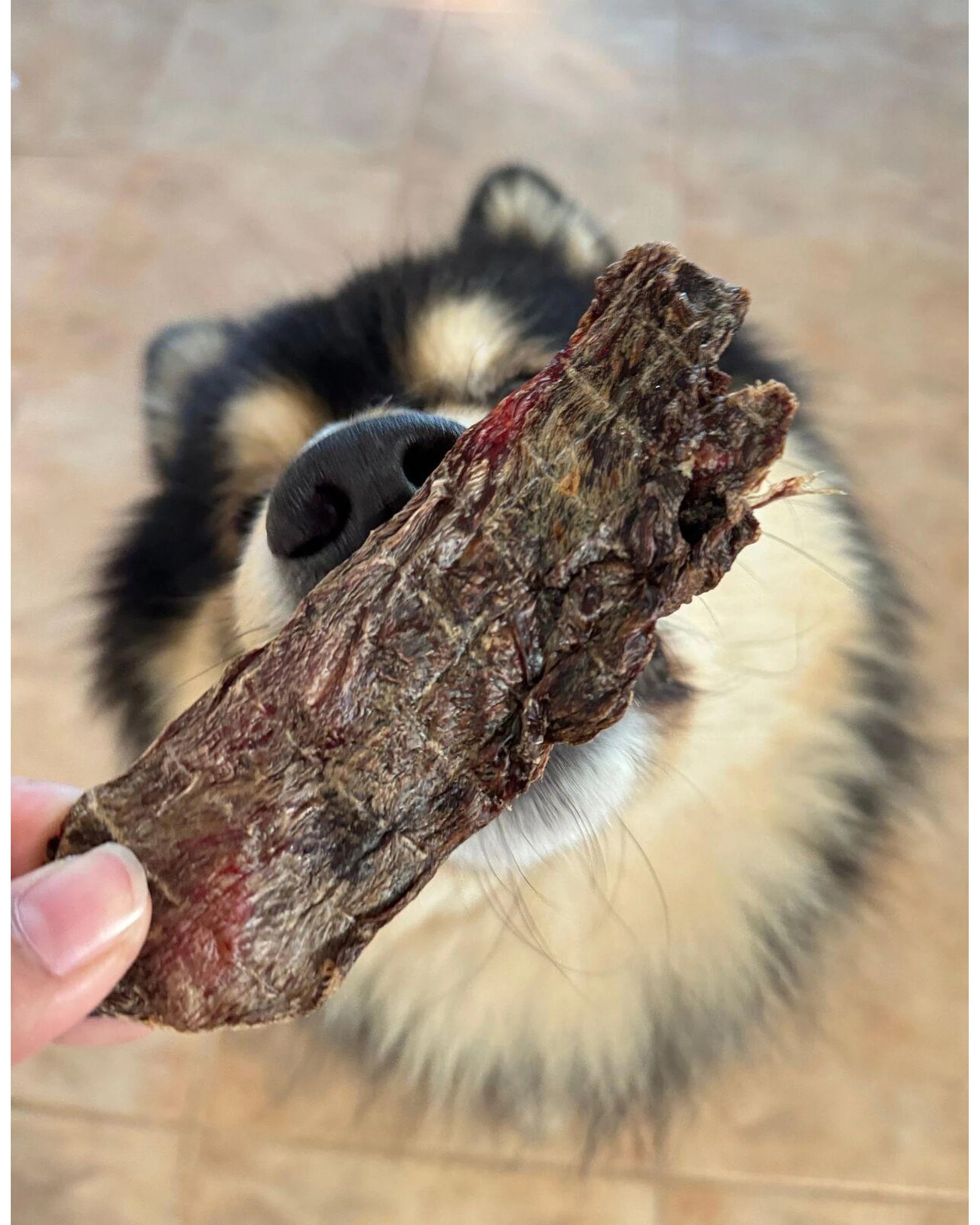 3 Laila & Me Dehydrated Range Kangaroo Jerky Dog Training Treats 80g, 3 of 6