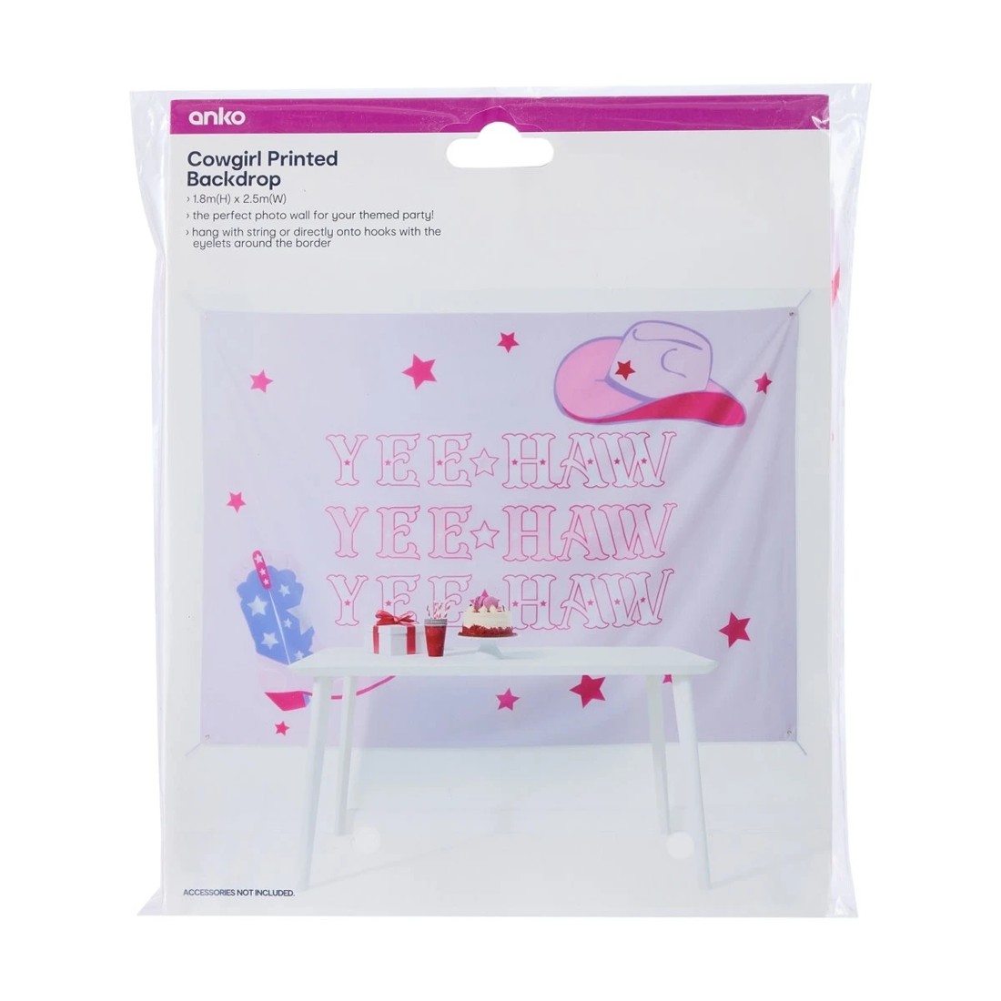 6 Cowgirl Printed Backdrop, 6 of 6