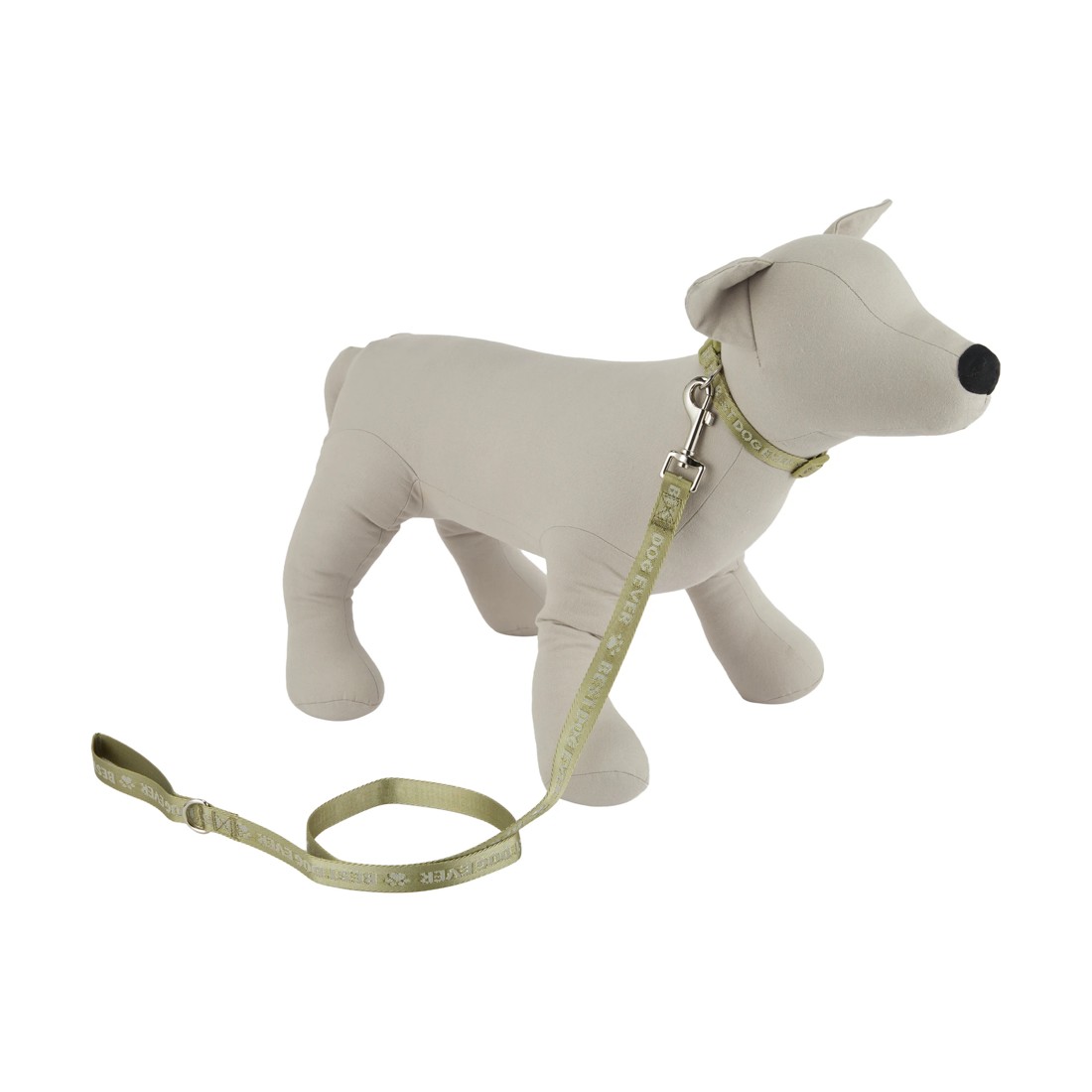 2 Best Dog Ever Collar and Lead Set - Small, Green, 2 of 5