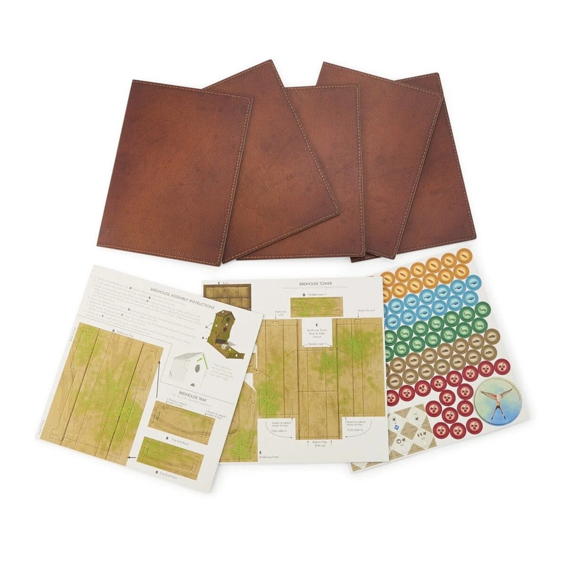 5 Wingspan Game, 5 of 5