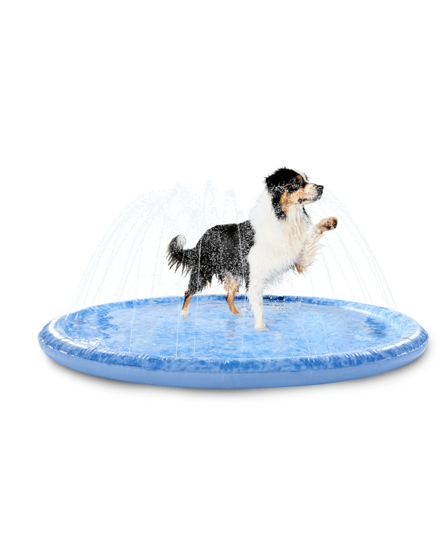 Summer Sprinkler Mat - L