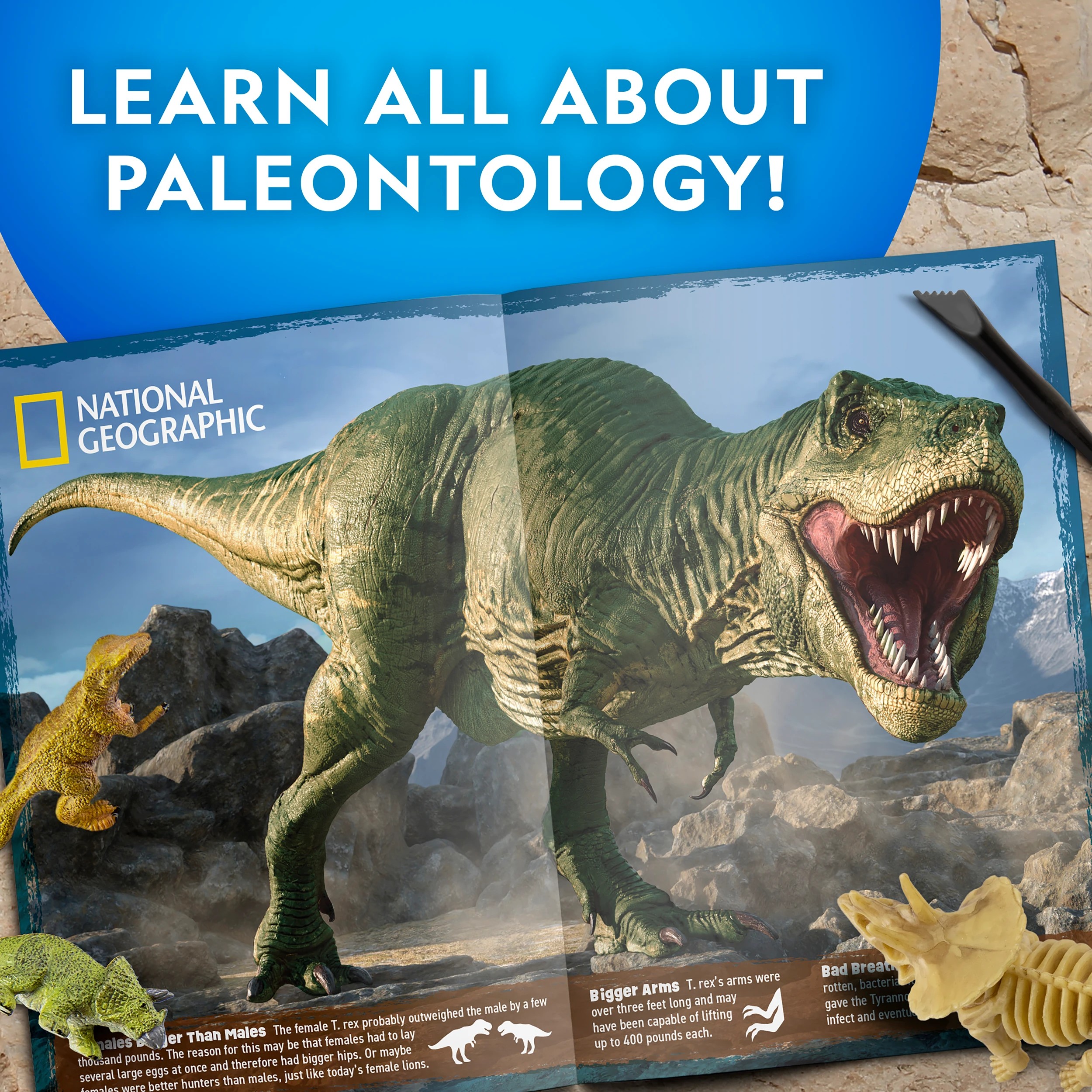 4 National Geographic Ultimate Dinosaur Dig Kit, 4 of 4