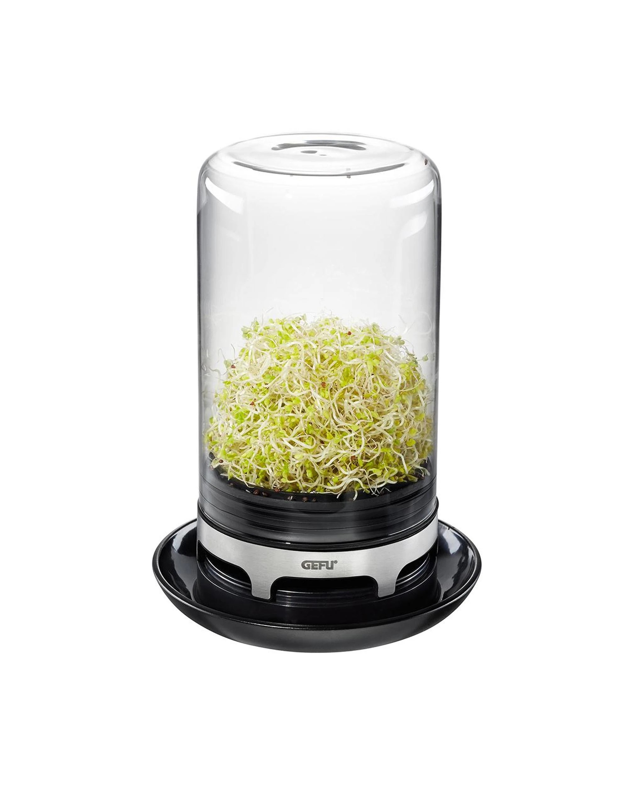 4 Gefu Bivita Sprouting Jar, 4 of 6