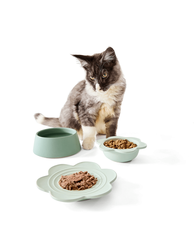 3 Pack Cat Bowl Cer