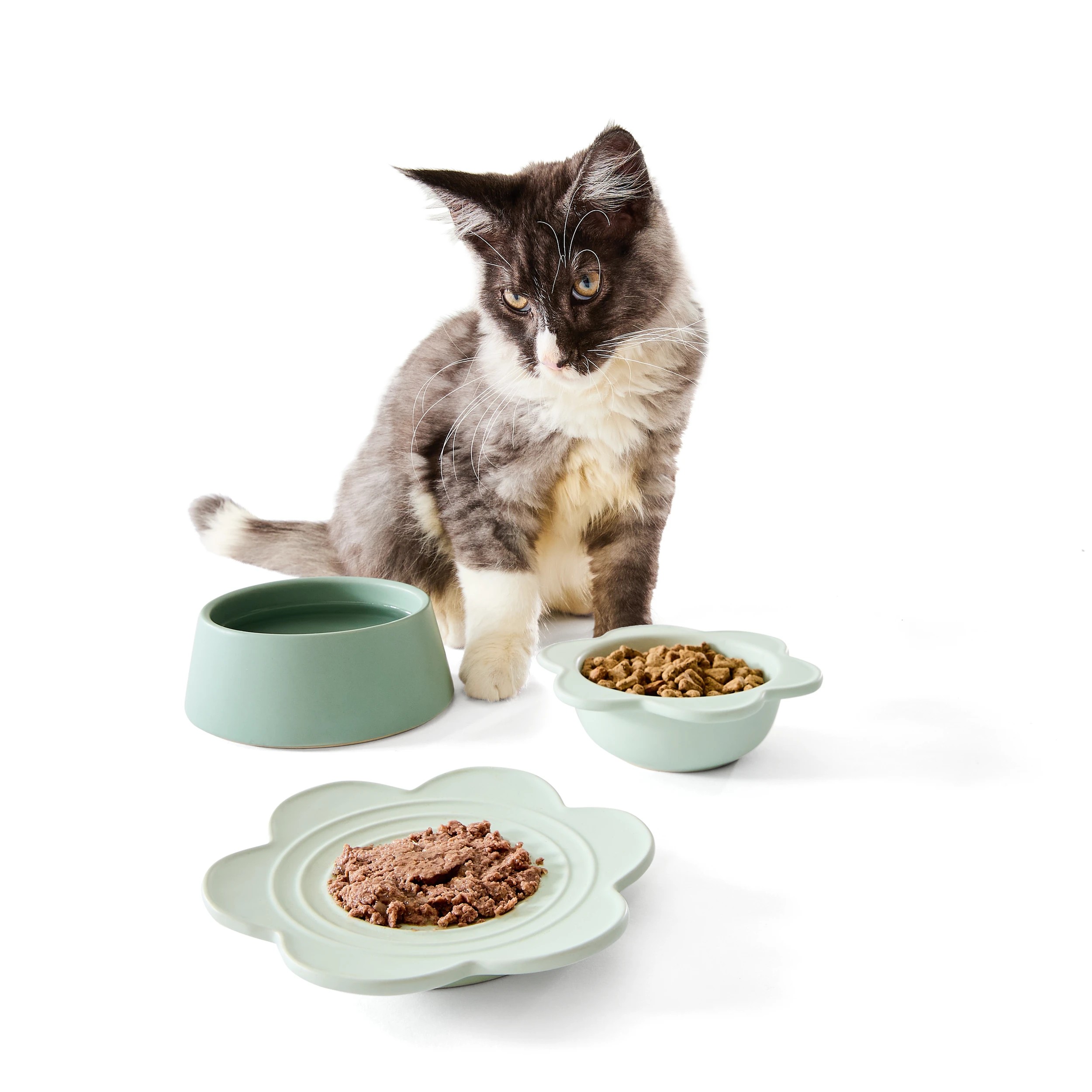 1 3 Pack Cat Bowl Ceramic, 1 of 6