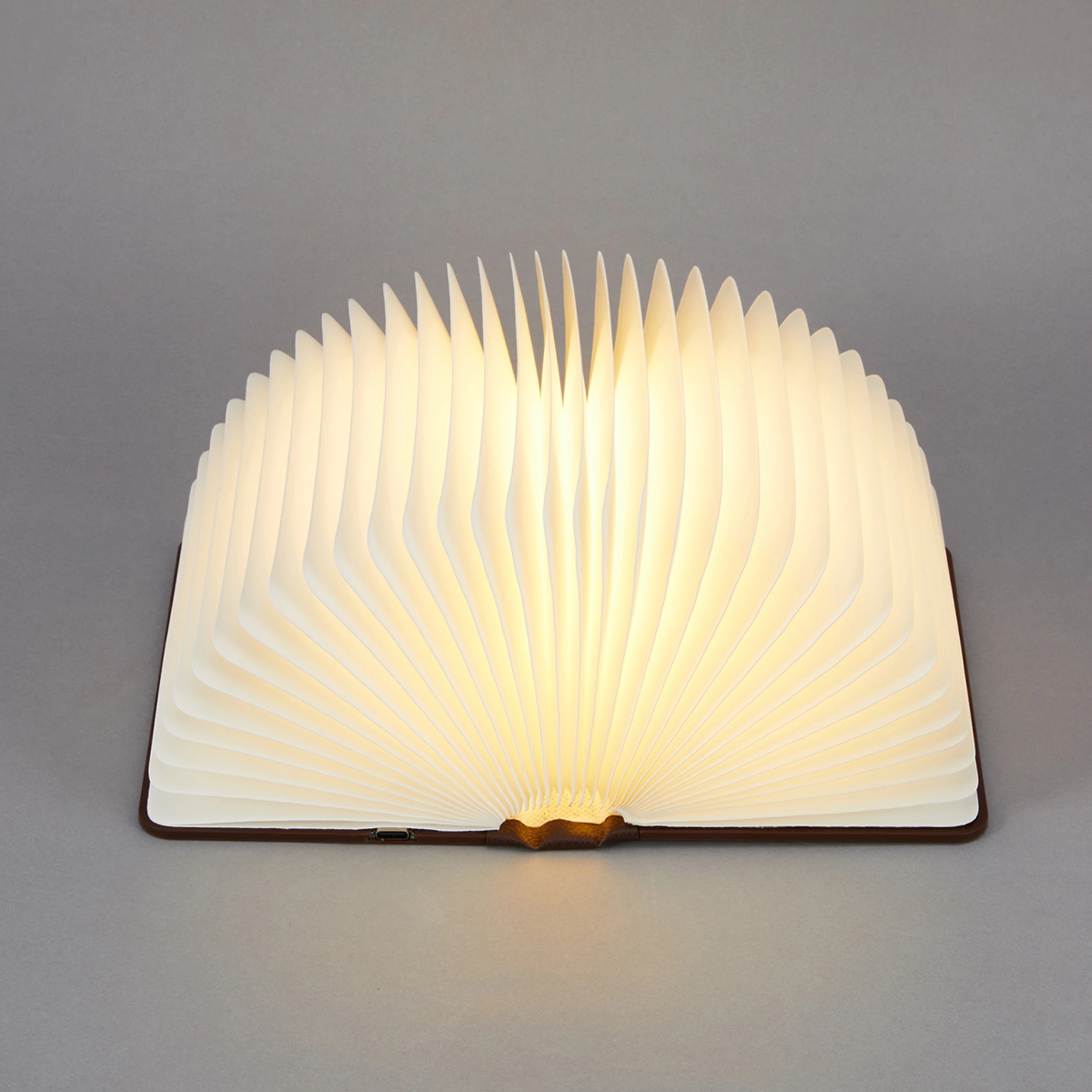 1 Foldout Book Lamp, 1 of 7