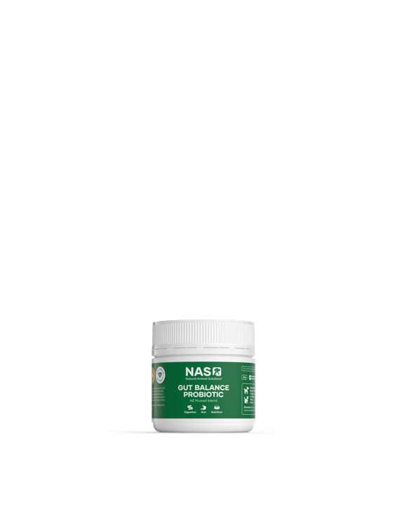 Natural Animal Solutions Gut Balance Probiotic For Dogs And Cats 80g - Natural