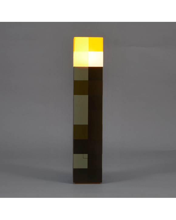 Minecraft Torch Light