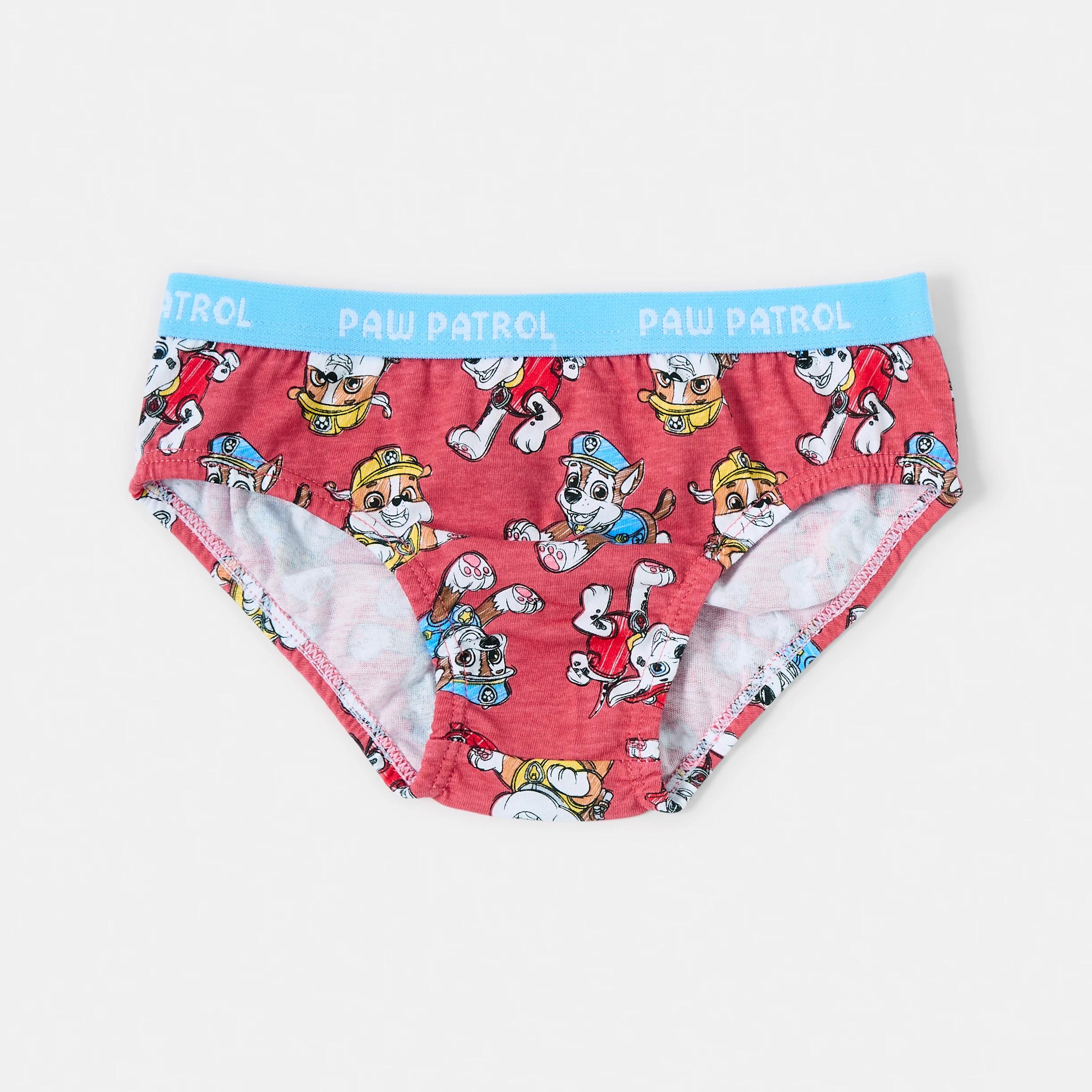3 4 Pack PAW Patrol License Briefs PAW PATROL, 3 of 7