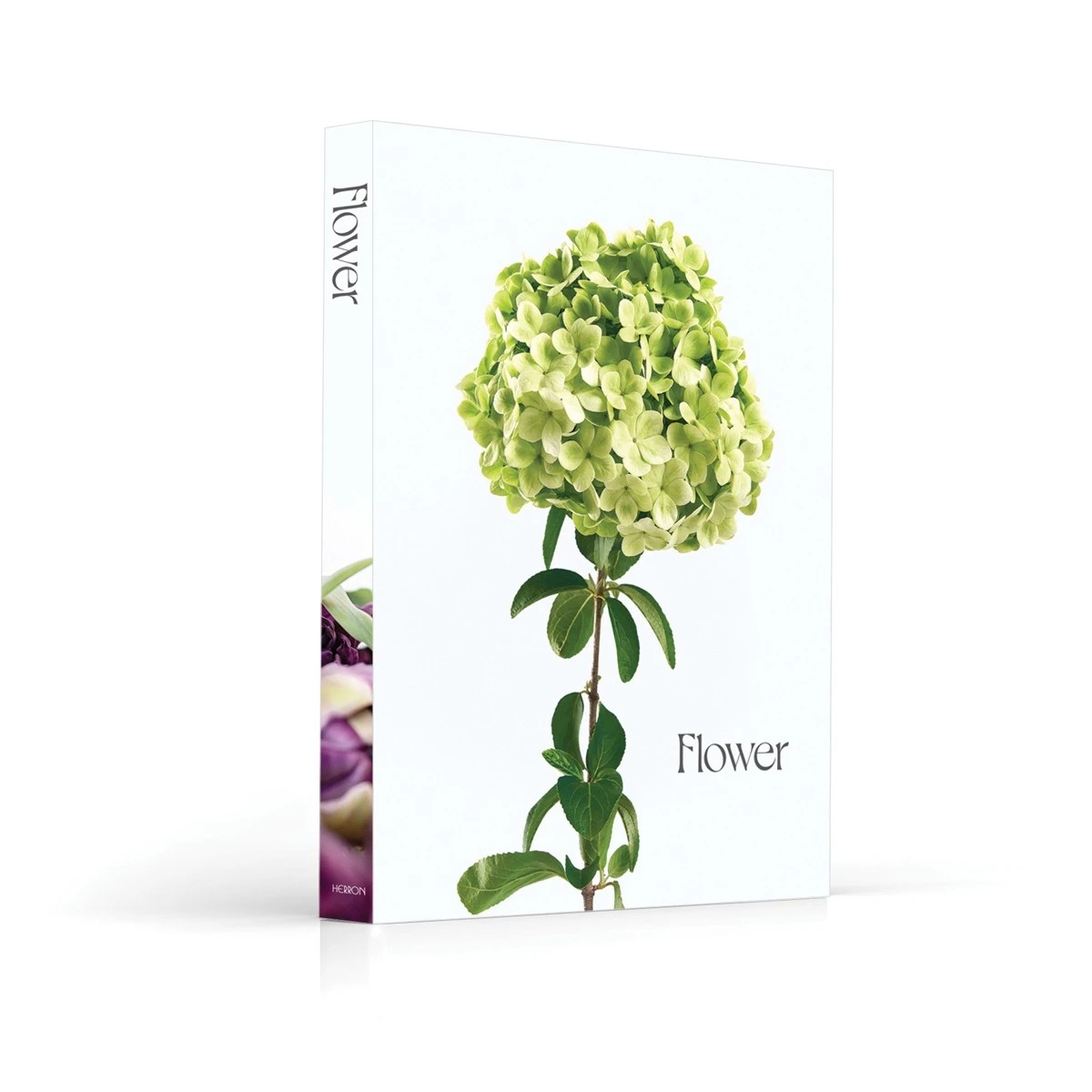 1 Flower - Book, 1 of 6