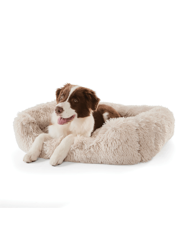 Pet Bed Comfort - L