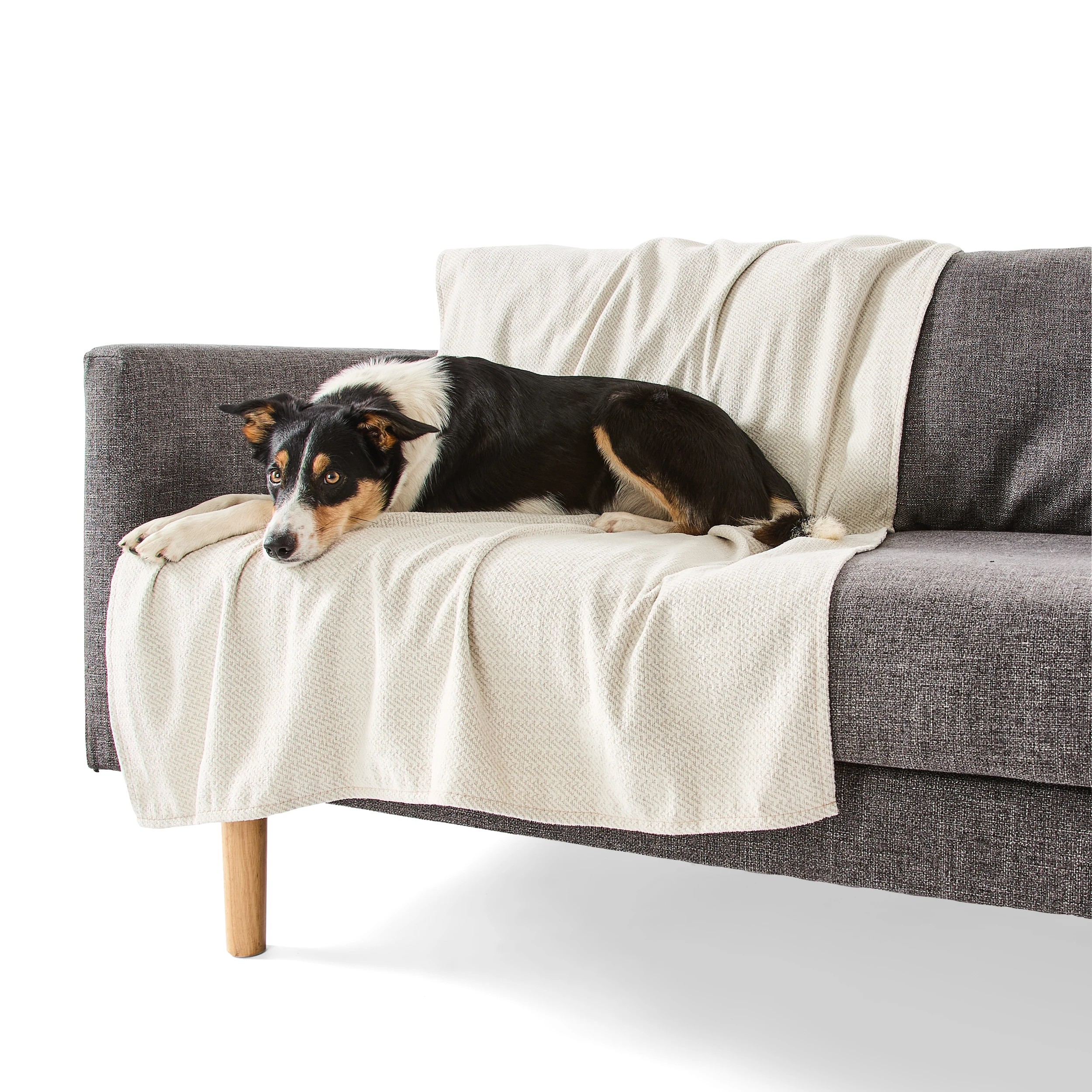 2 Pet Couch Cover Water Resistant - Large, Assorted, 2 of 10