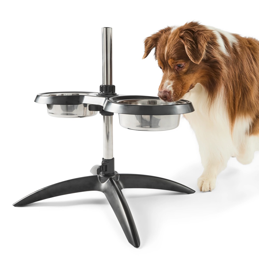 1 Pet Telescopic Feeder, 1 of 10