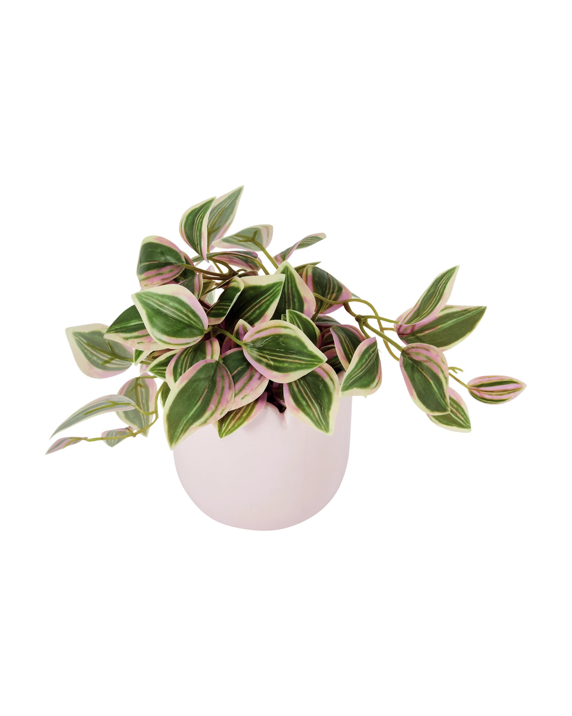1 Artificial Succulent in Wavy Pot, 1 of 3