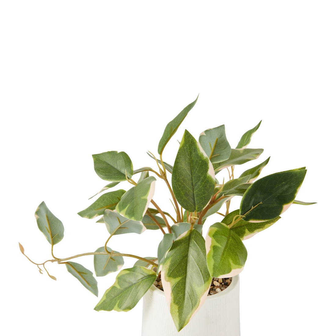 2 Artificial Two Tone Trailing Plant, 2 of 3