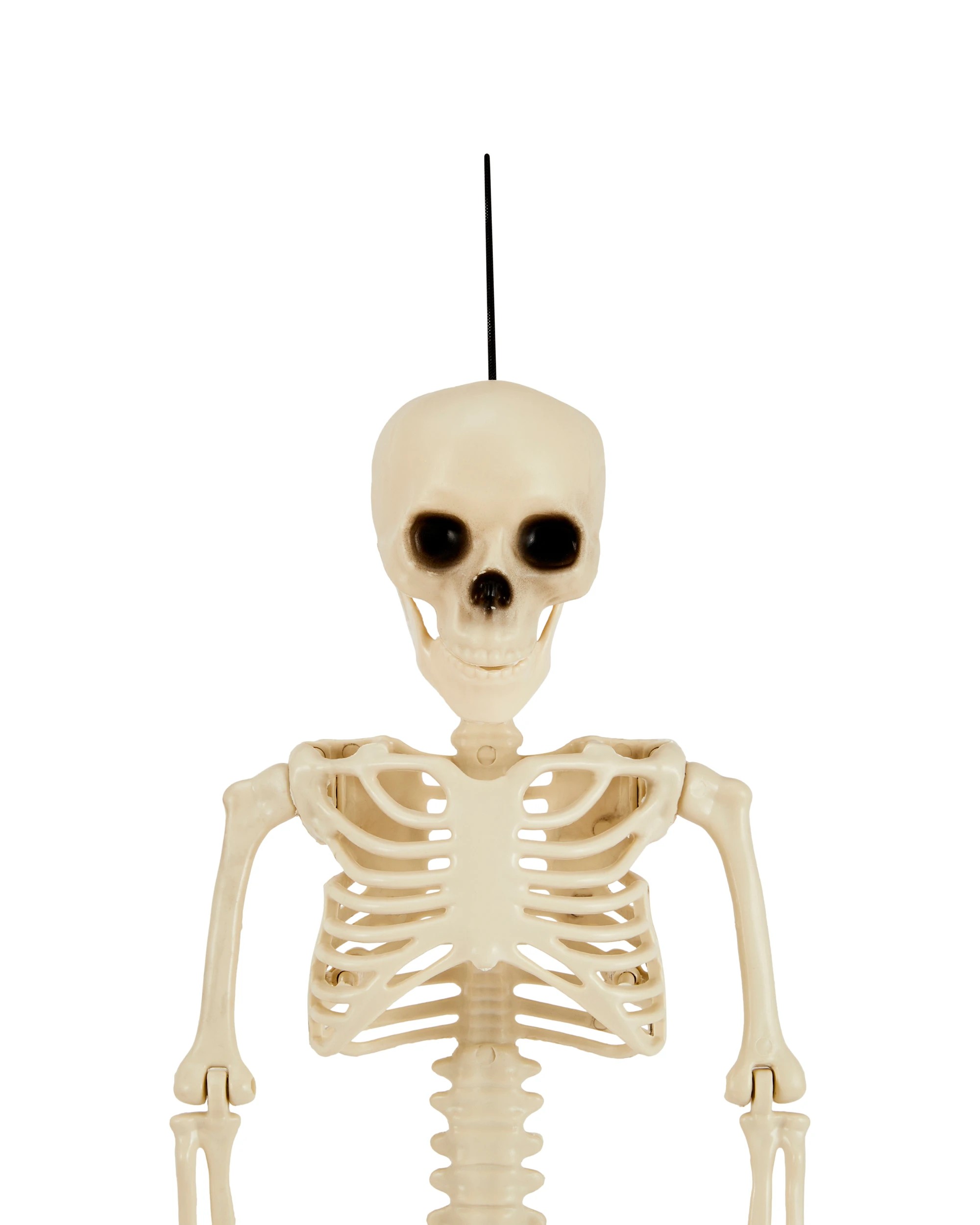 4 Poseable Skeleton - Assorted, 4 of 5