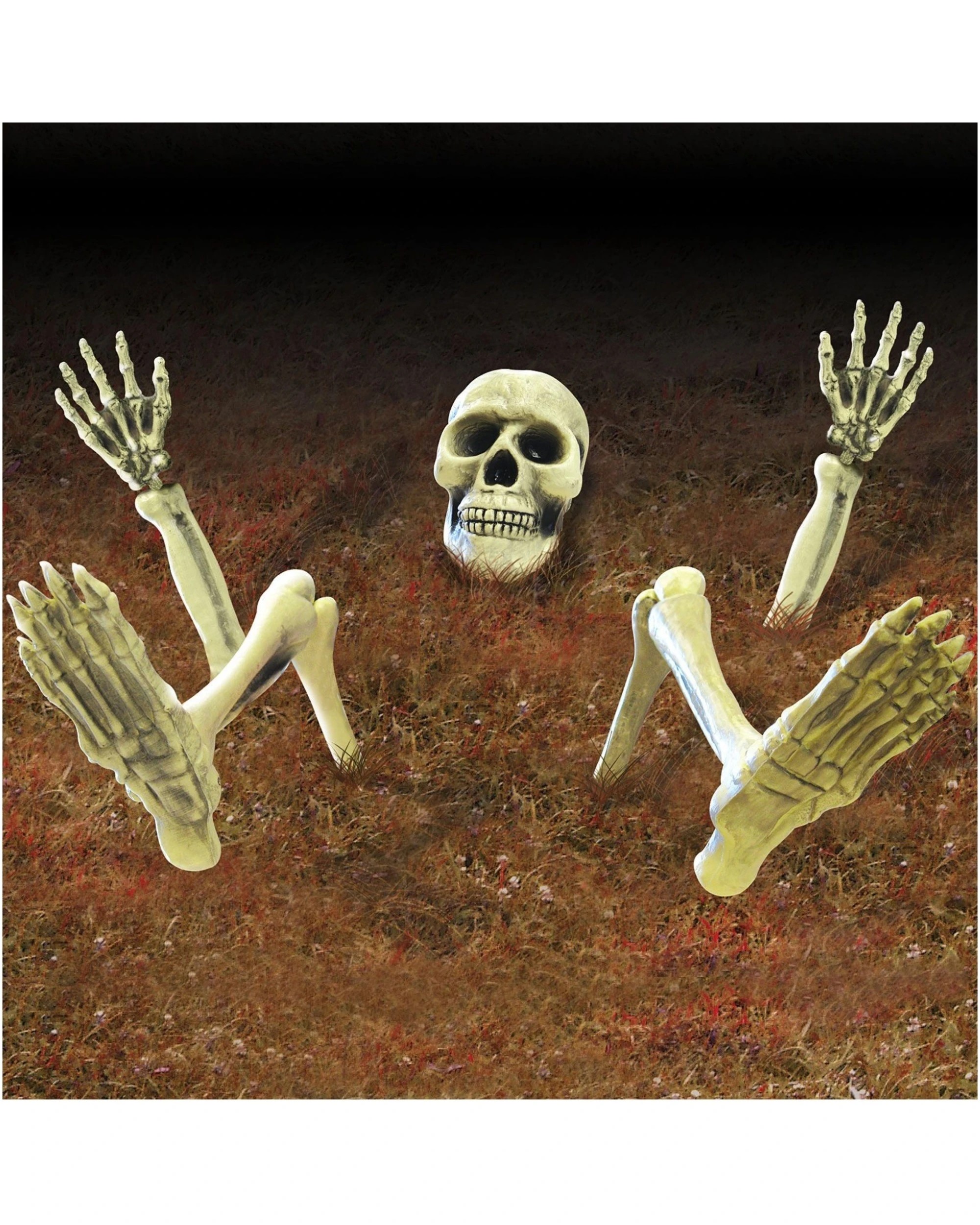 1 Anagram Halloween Lawn Skeleton Kit, 1 of 1