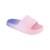 OMBRE BLUSH