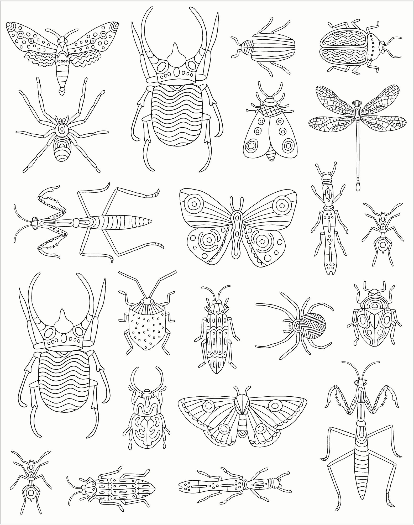 3 Colour-Your-Own Gallery Wall Art: Bugs - Book, 3 of 5